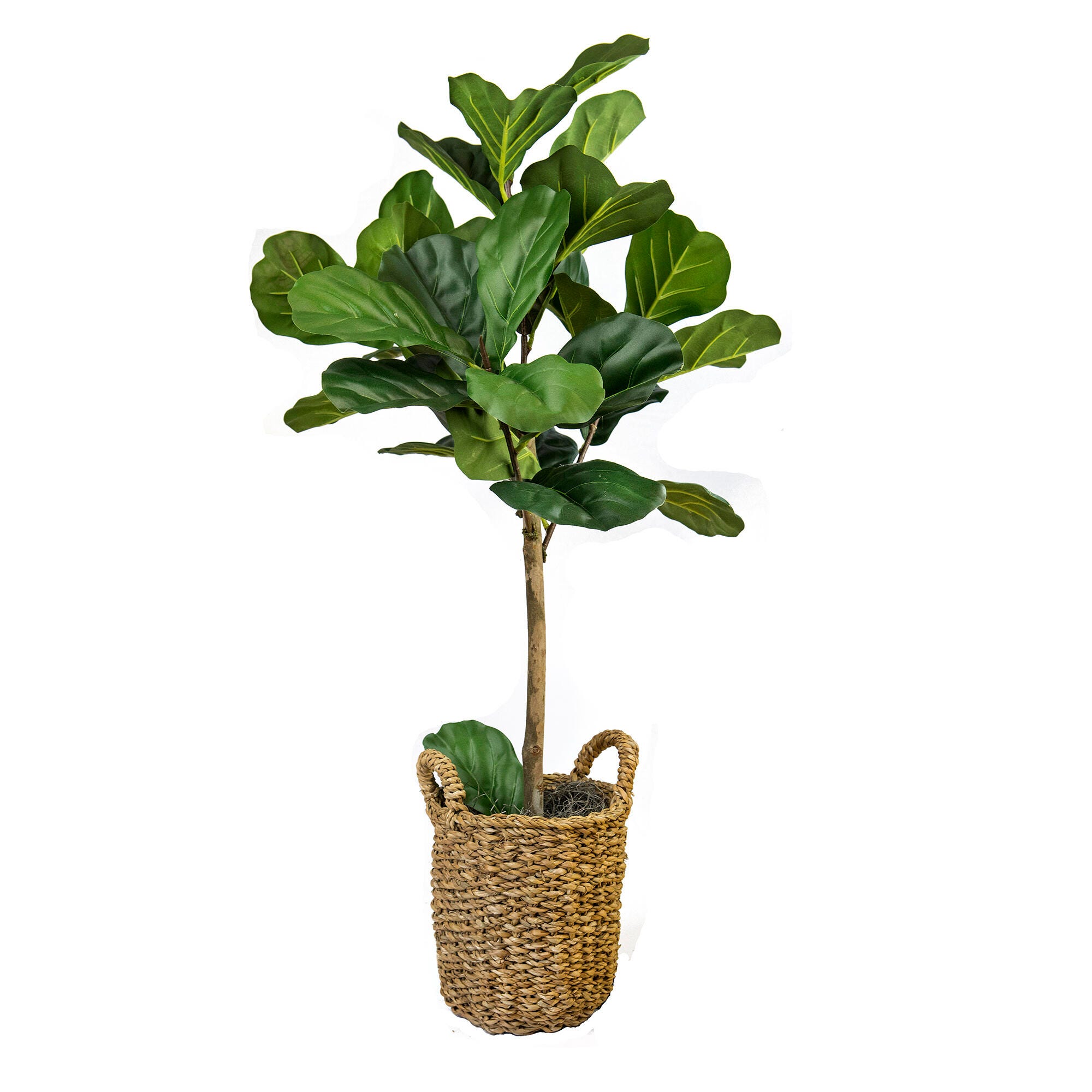 Fig in a Handle Basket, , large