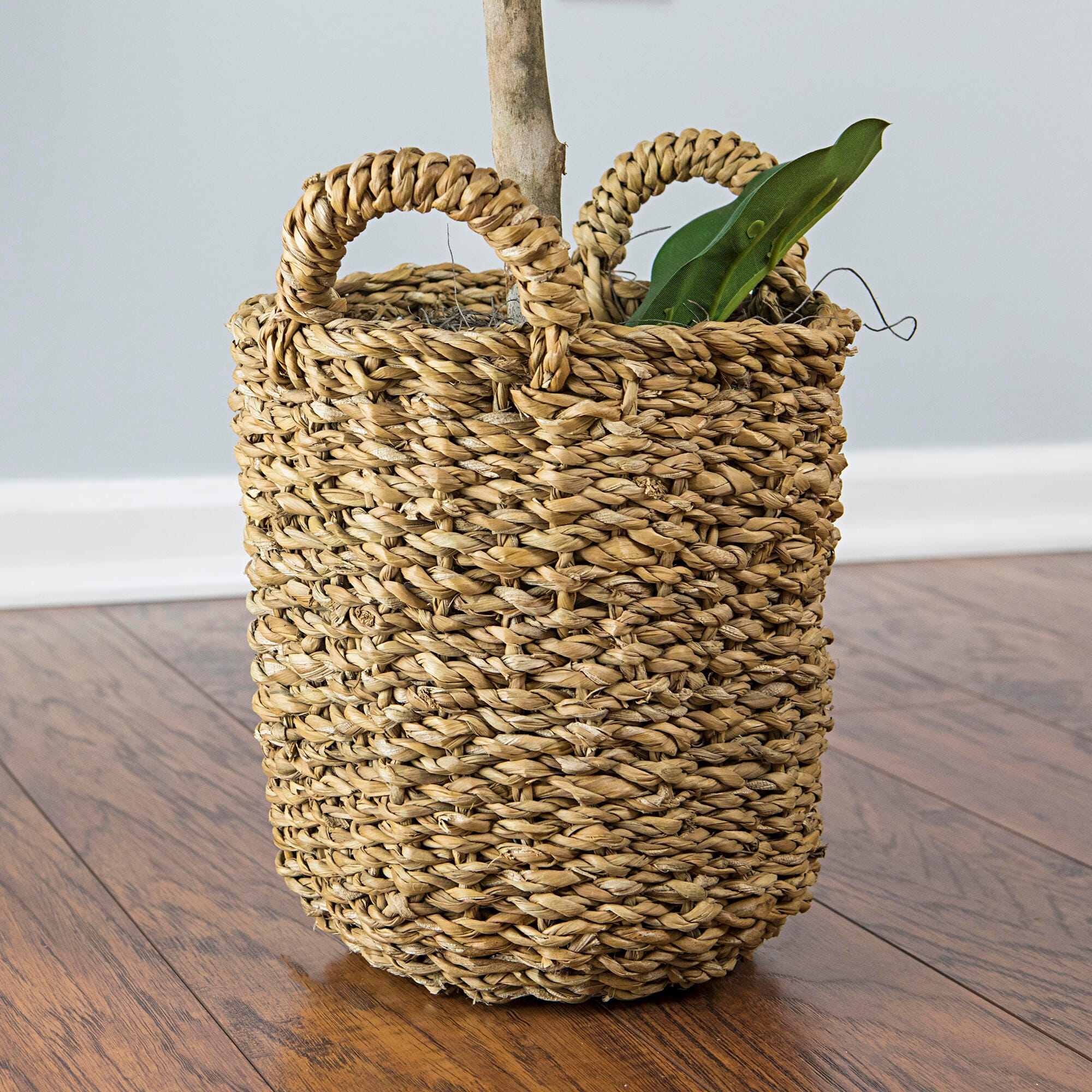Fig in a Handle Basket, , large