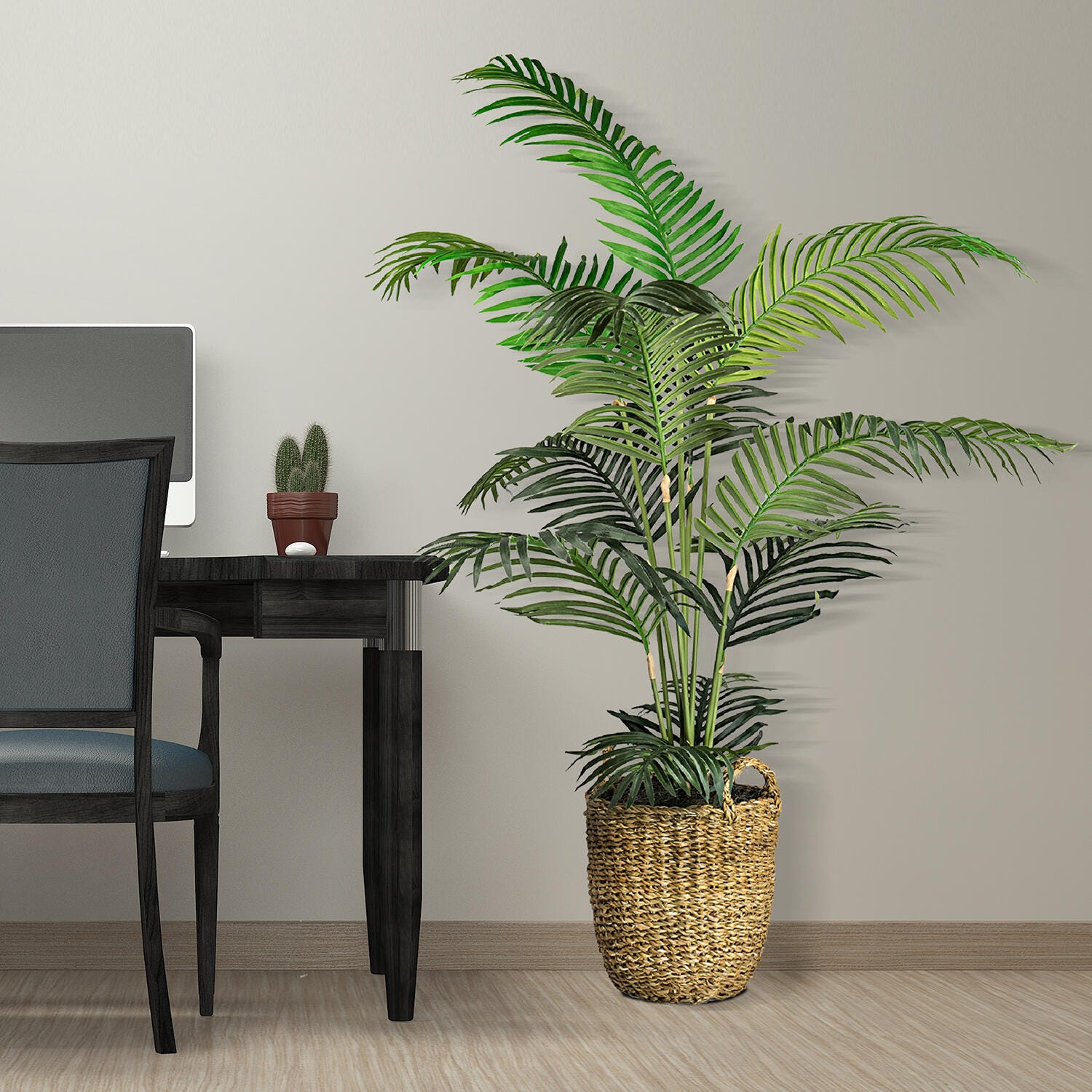 Areca Palm Tree in a Basket | Ashley