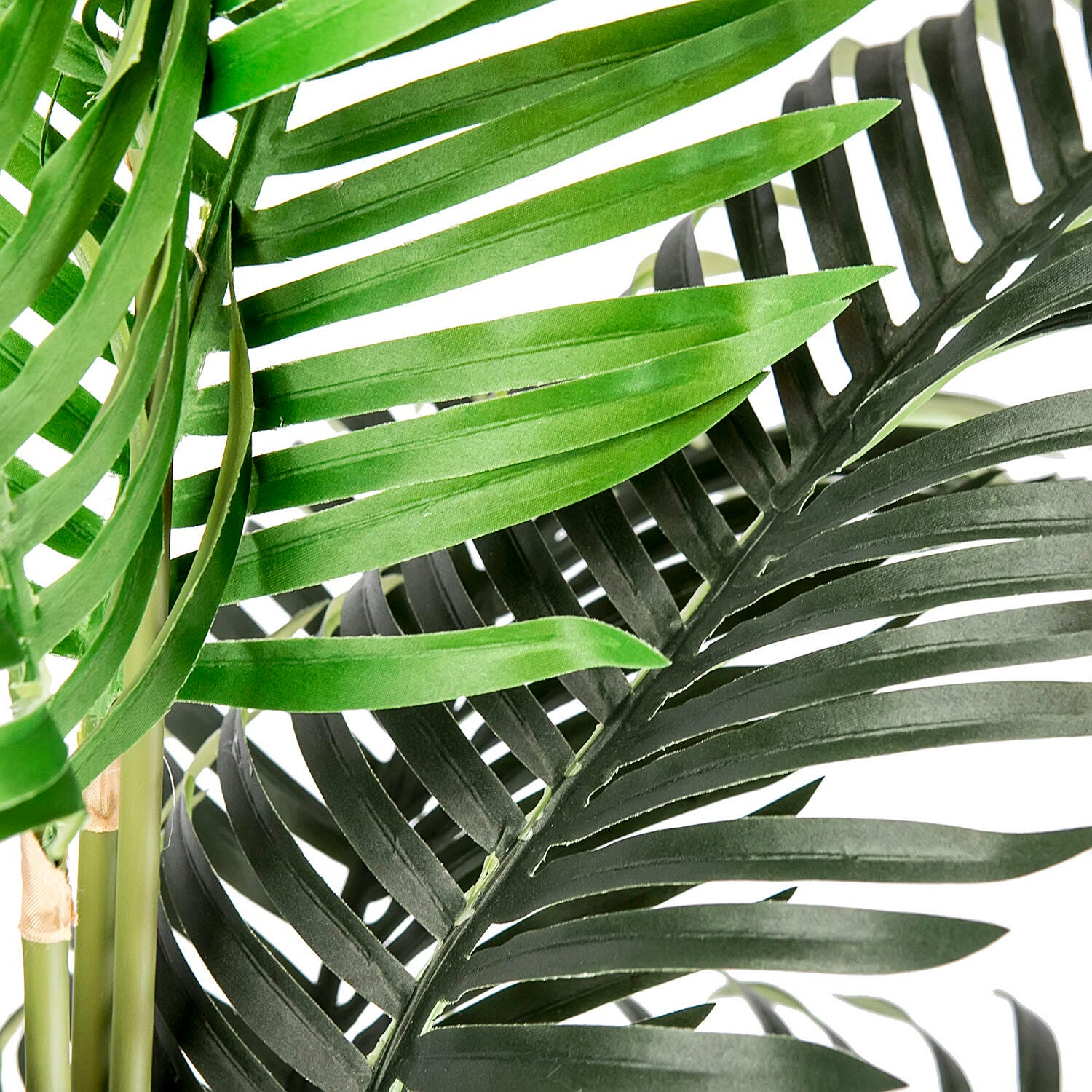 Areca Palm Tree in a Basket | Ashley