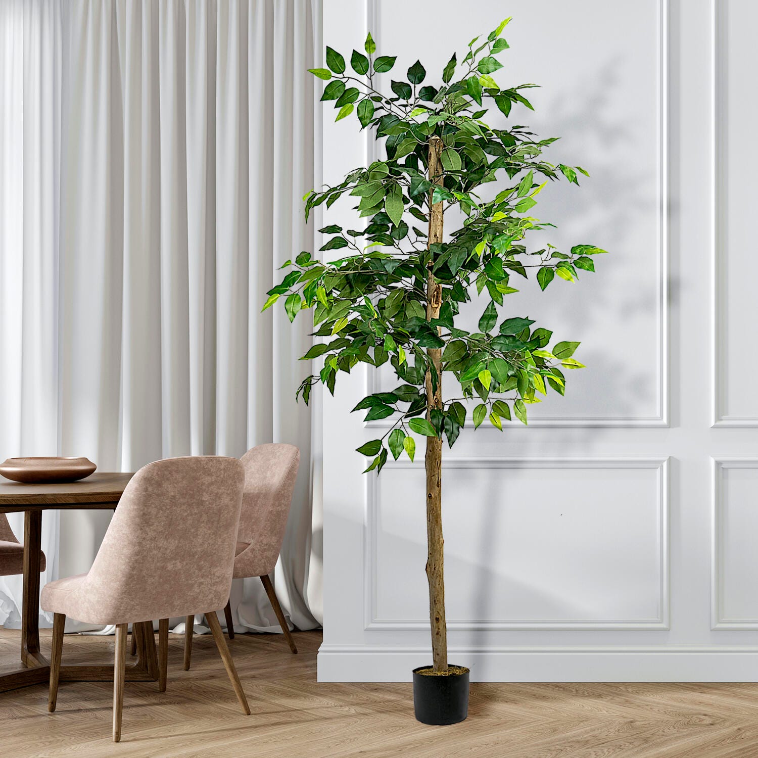 Ficus Tree in Pot, , large