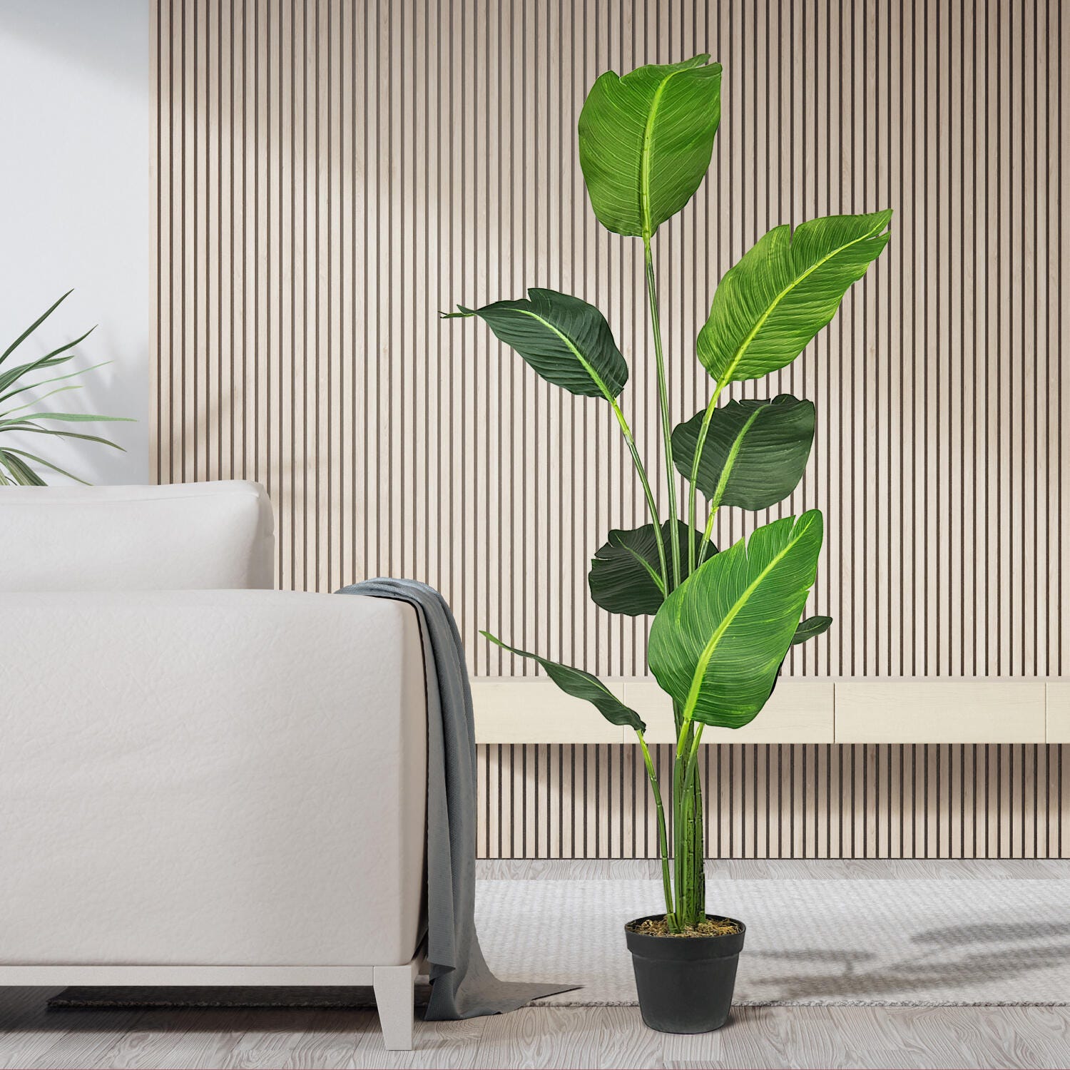 Bird of Paradise in Pot, , large