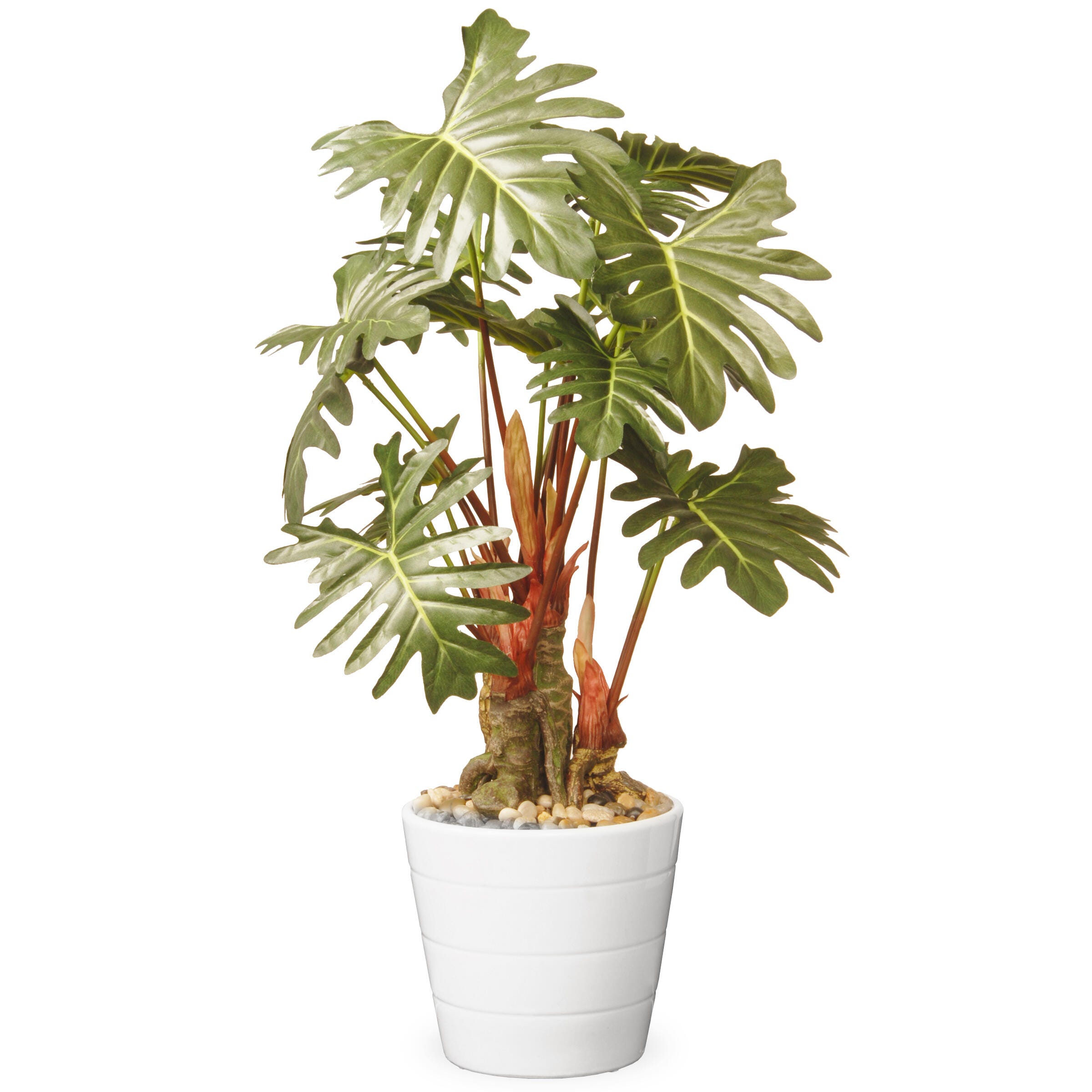 National Tree Company Garden Accents Philodendron Flower, , large