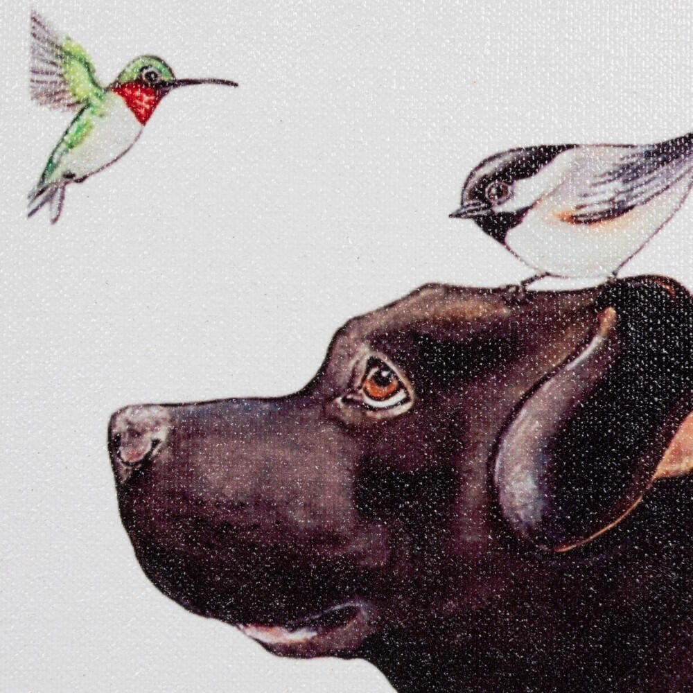 Creative Co-Op Birds And Dog Framed Wall Decor, , large