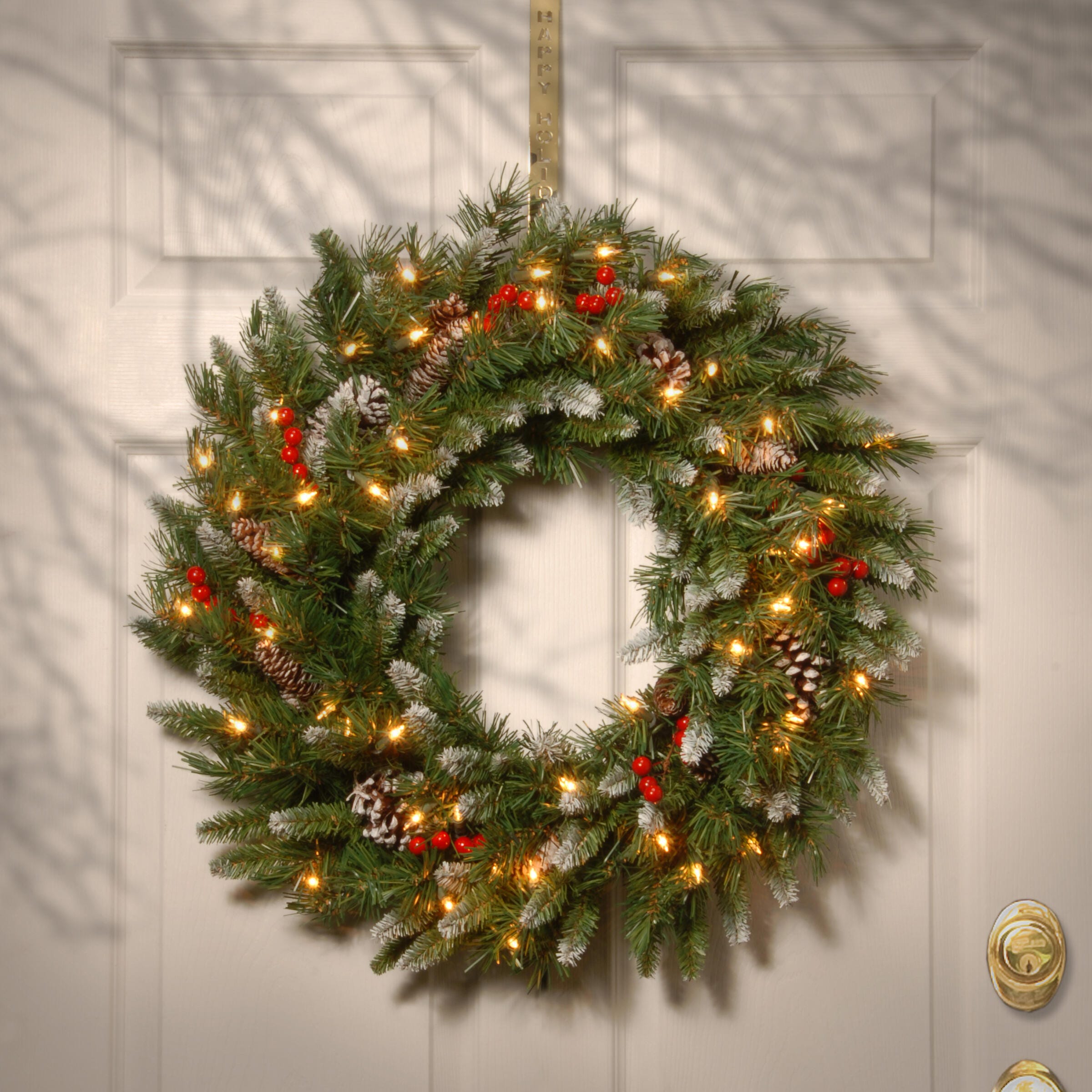 National Tree Company 24" Frosted Berry Wreath with Clear Lights, , rollover