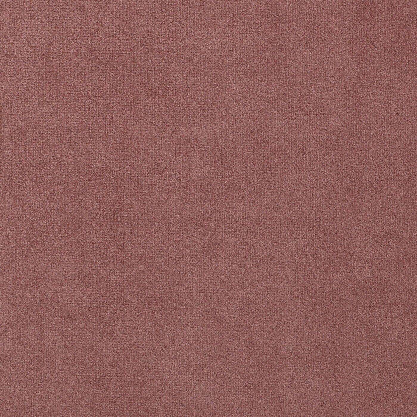 Swatch color Ash Rose Pink 
