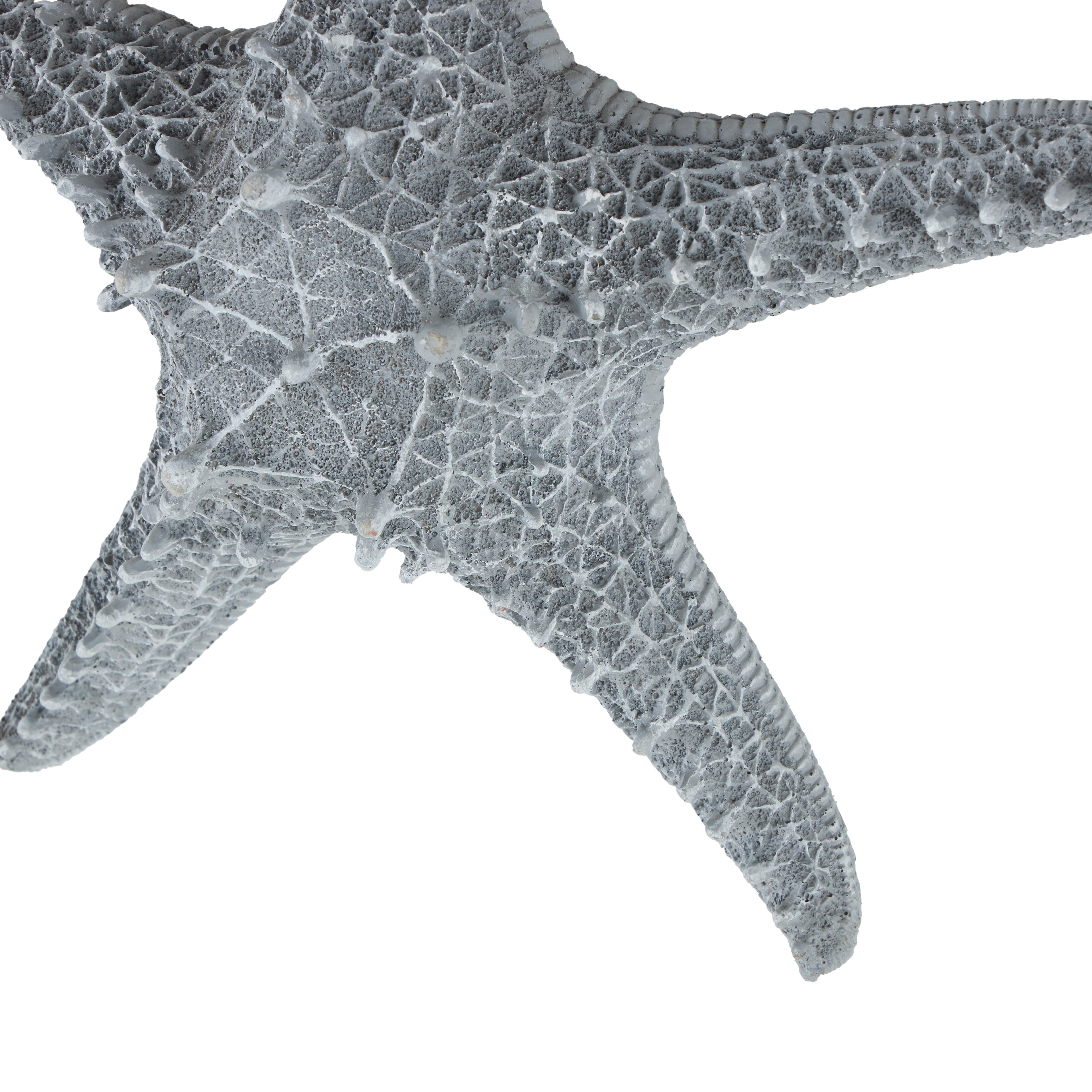 Bayberry Lane Starfish Home Wall Decor With Hanging Rope, , large