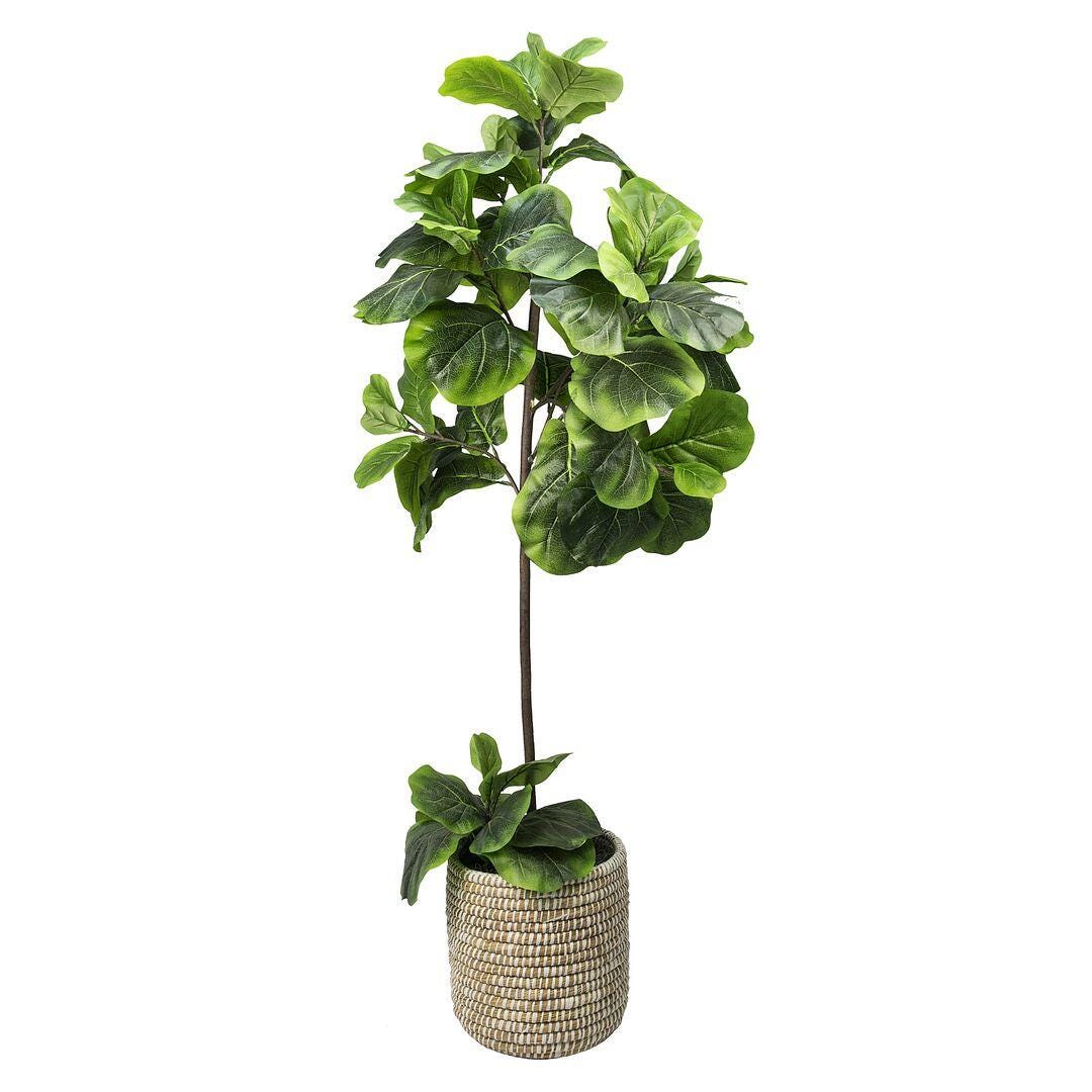planted terrariums for sale Cylindrical Micro Landscape Terrarium with LED Grow Light