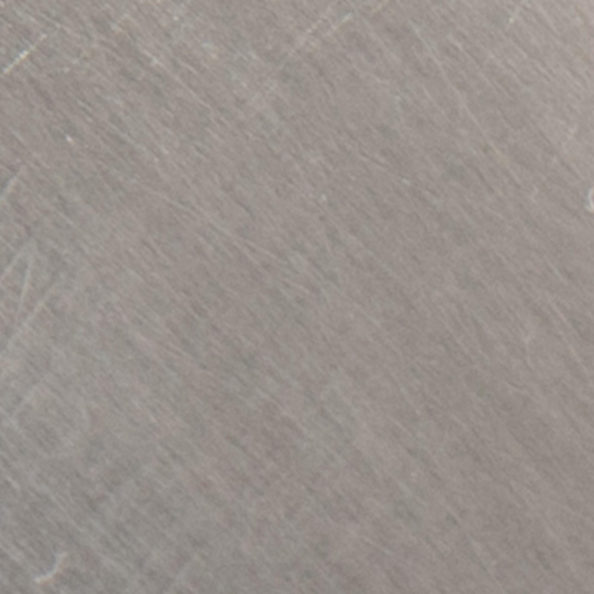 Swatch color Silver 