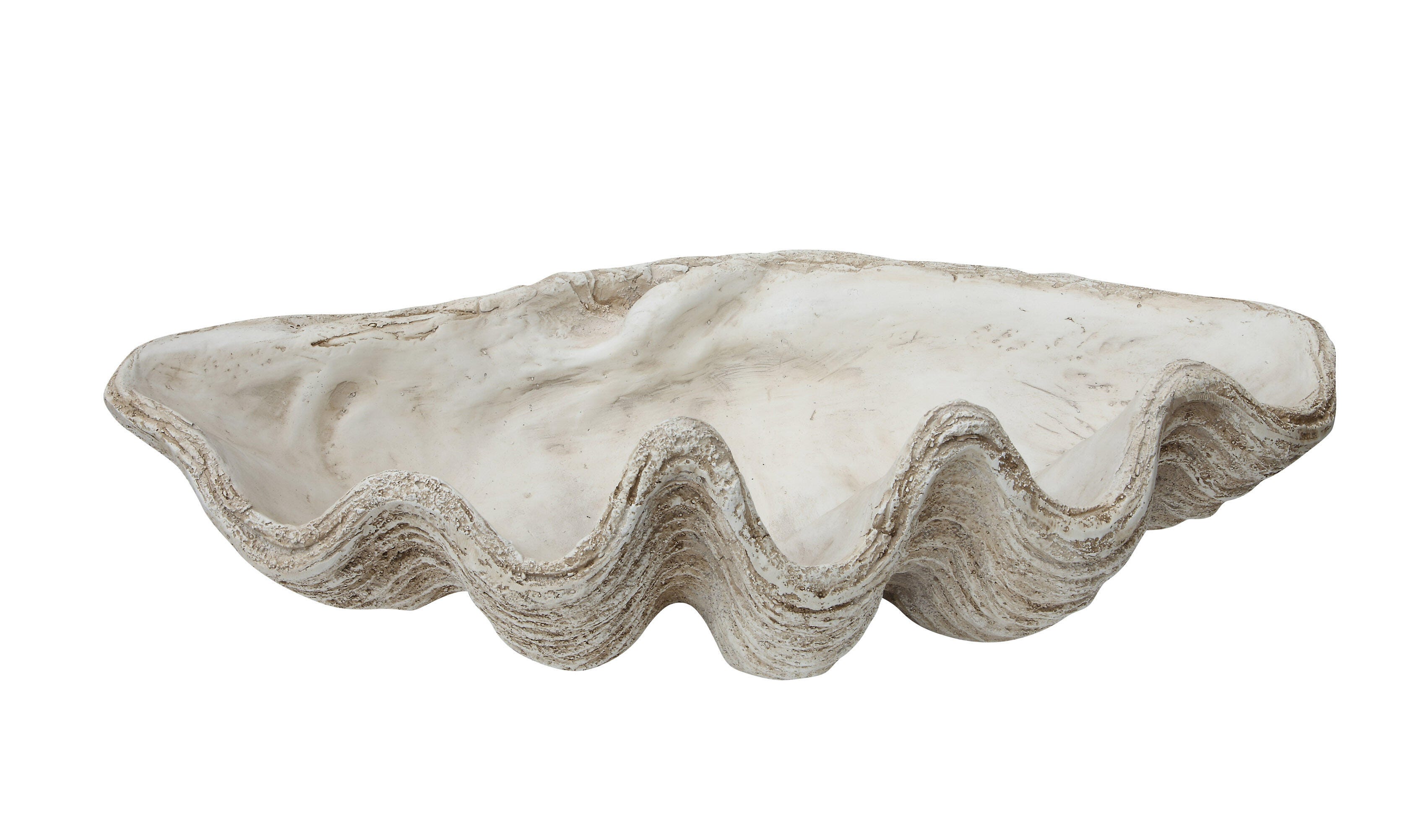 Storied Home Seashell Decoration, , large