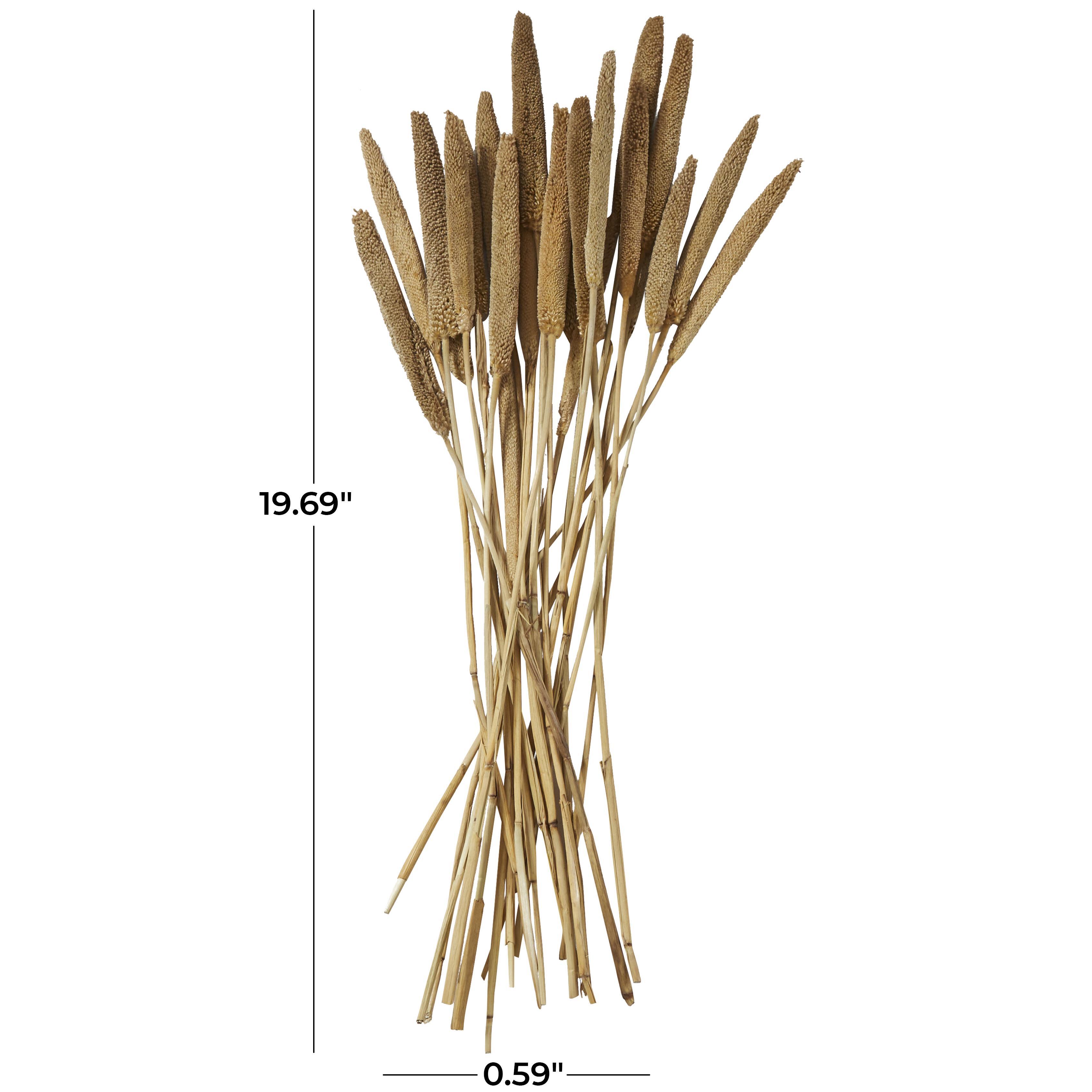 Bayberry Lane Dried Plant Bunny Tail, Brown, large