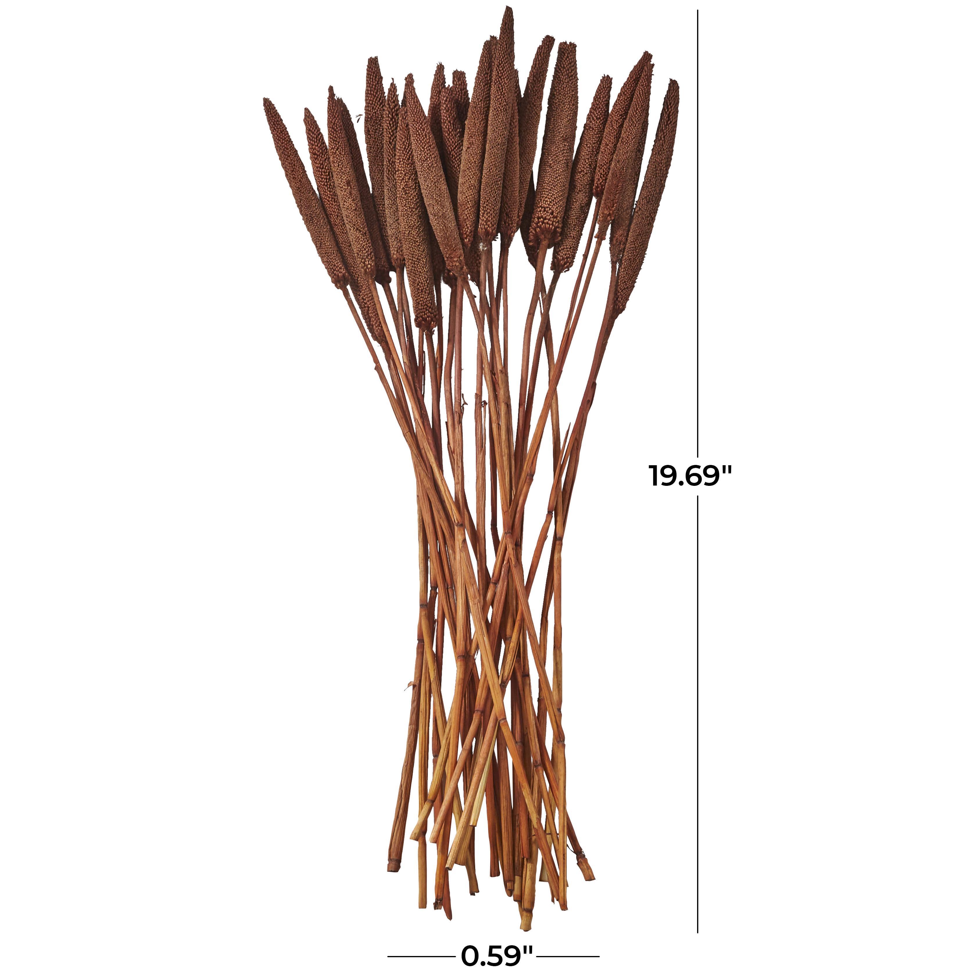 Bayberry Lane Dried Plant Bunny Tail, Dark Brown, large