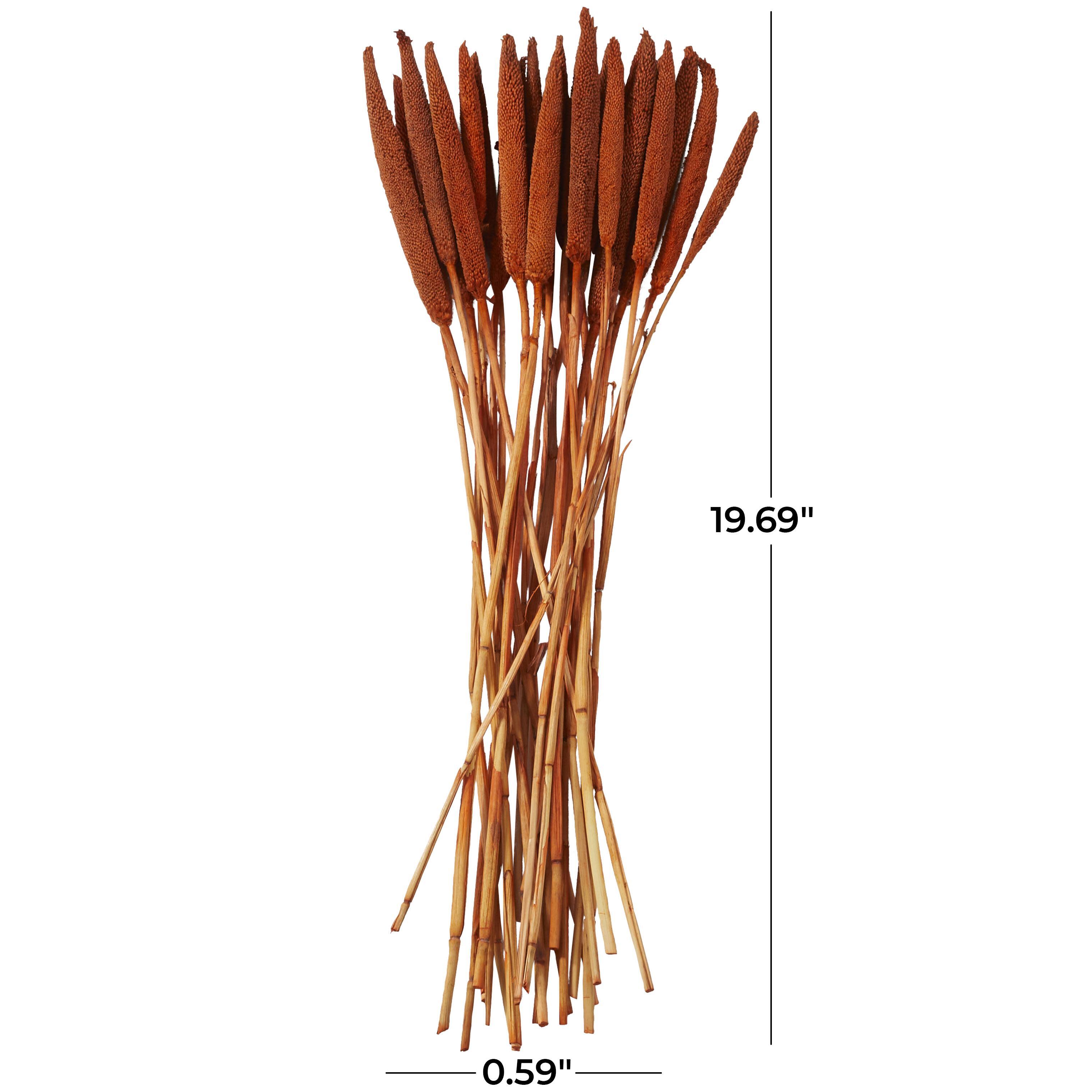 Bayberry Lane Dried Plant Bunny Tail, Orange, large