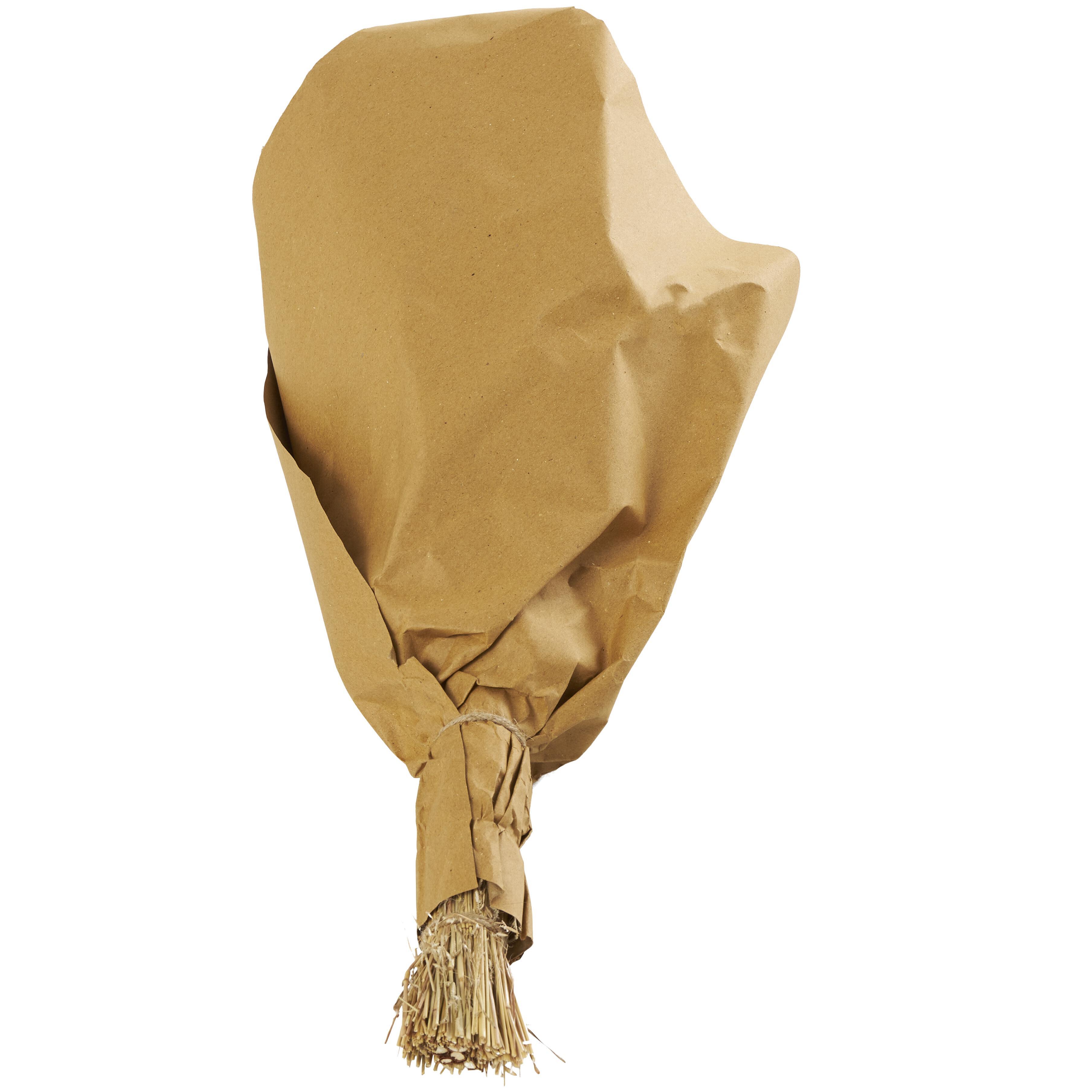 Bayberry Lane Dried Plant Cattail Handmade Wheat Grass Bouquet, , large