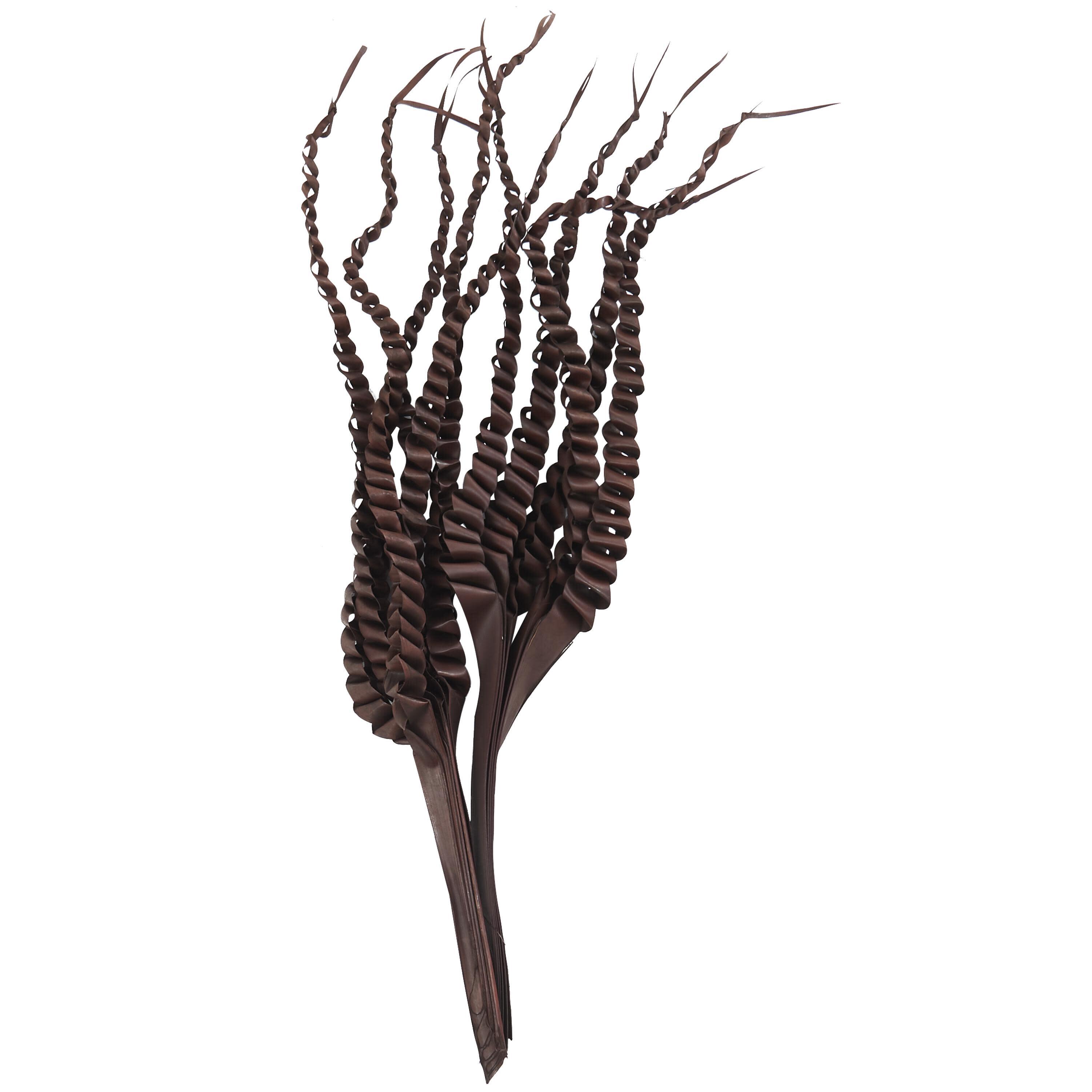 Bayberry Lane Dried Plant Five Finger Natural Foliage, , large