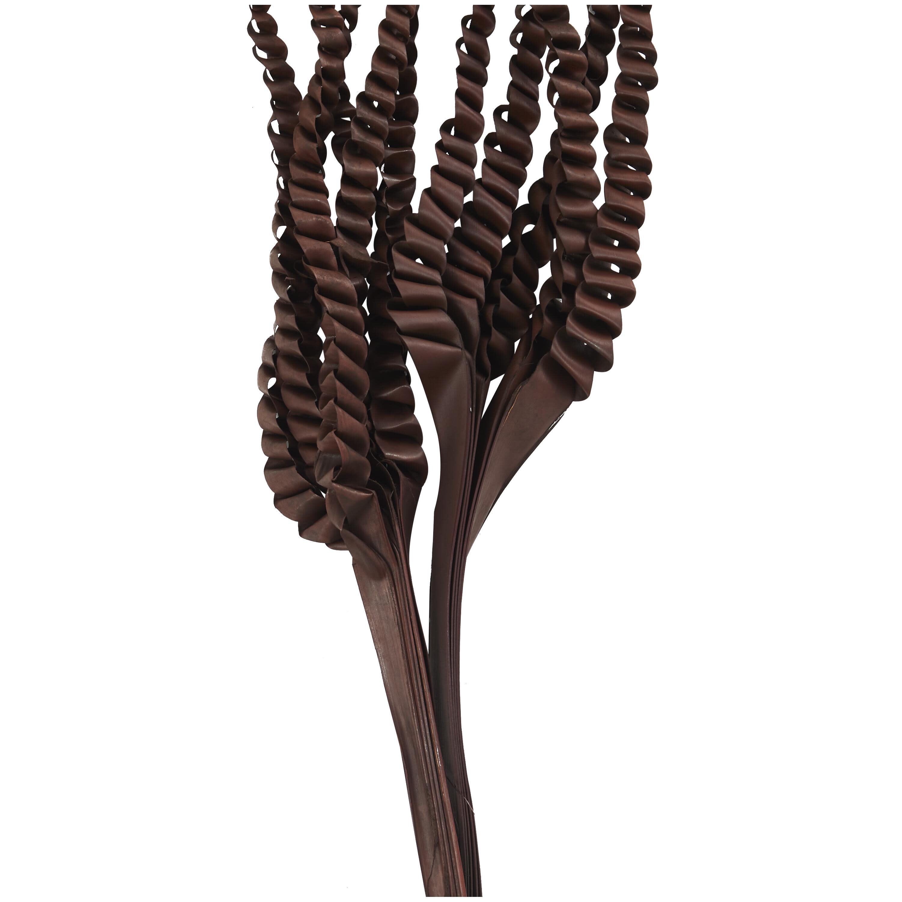 Bayberry Lane Dried Plant Five Finger Natural Foliage, , large