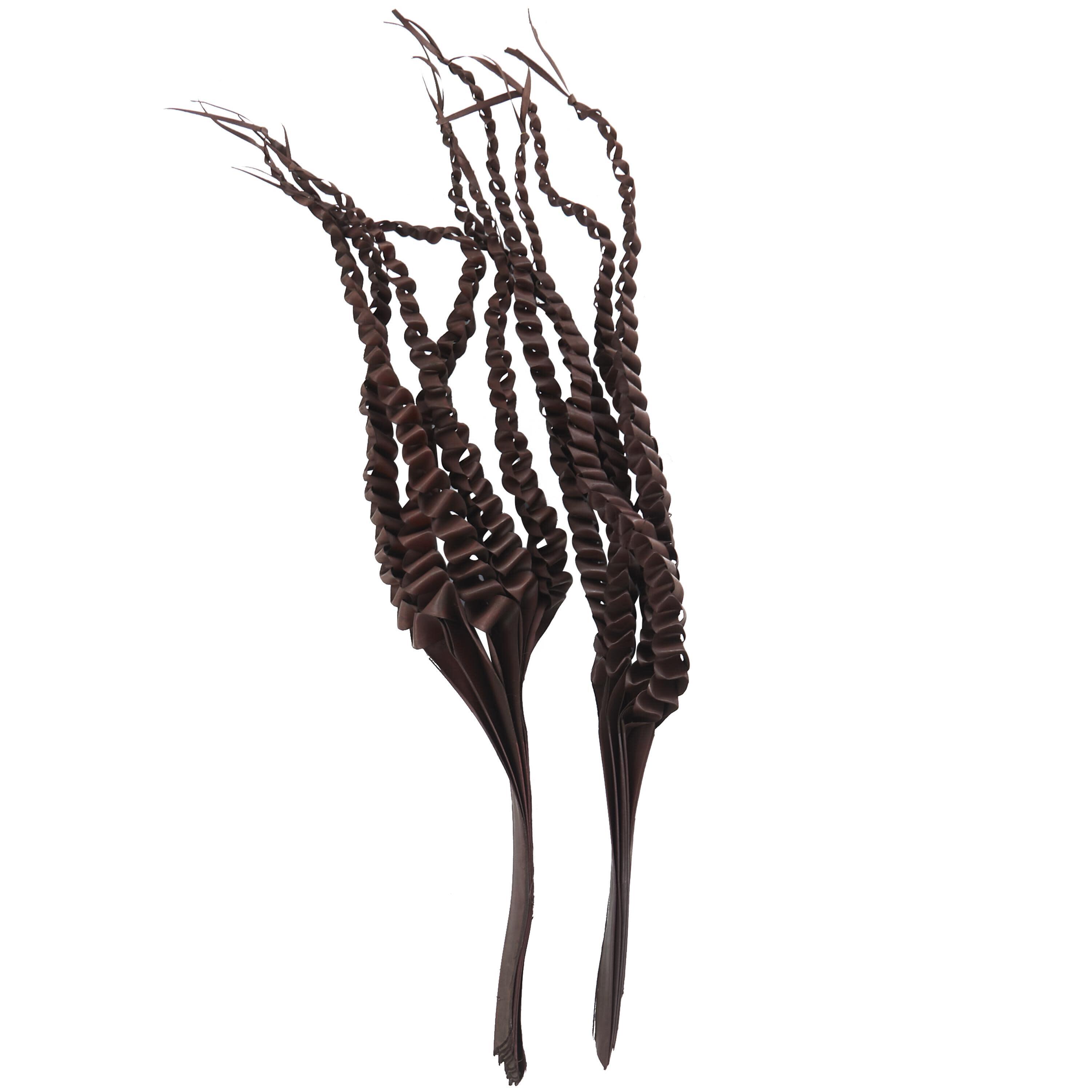 Bayberry Lane Dried Plant Five Finger Natural Foliage, , large