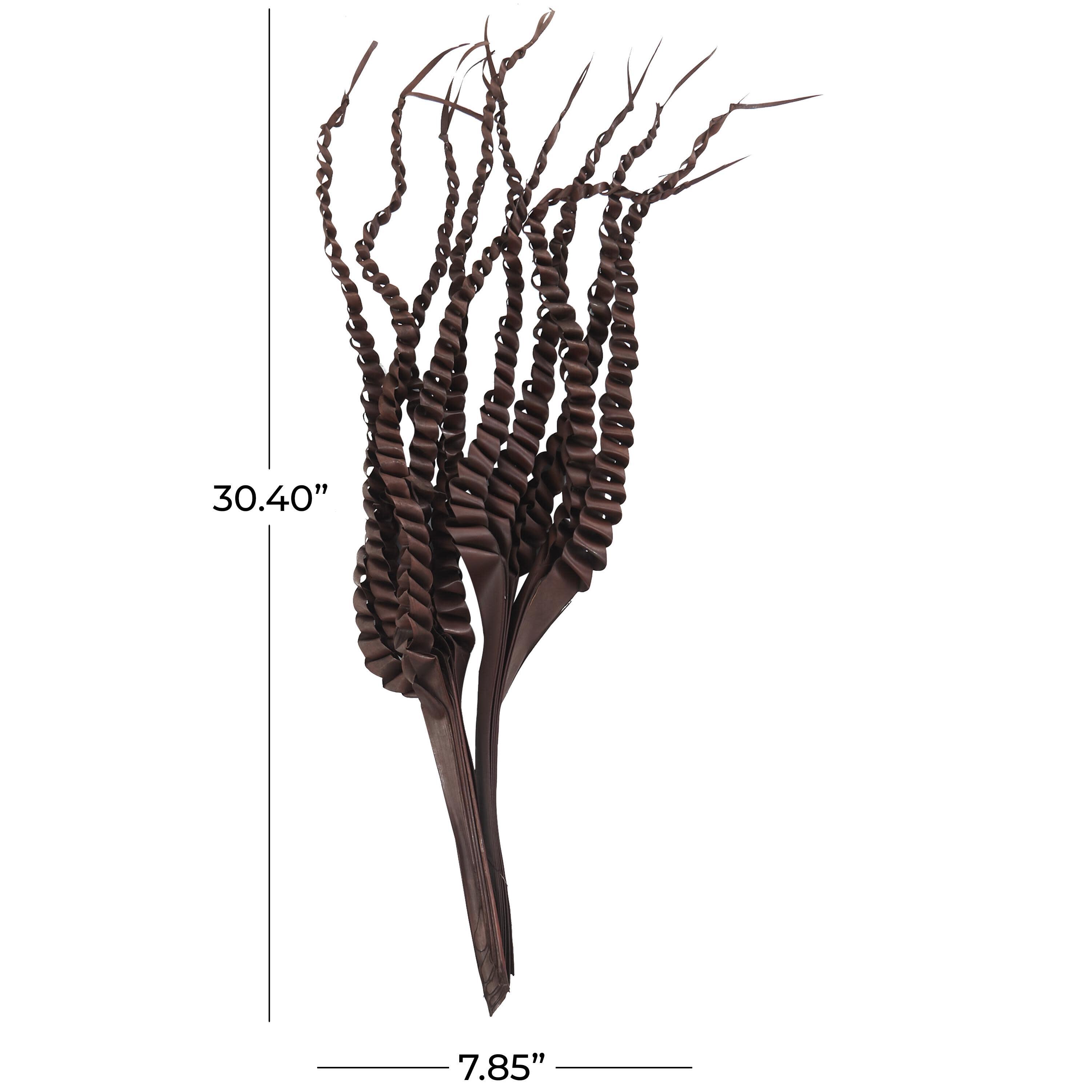 Bayberry Lane Dried Plant Five Finger Natural Foliage, , large