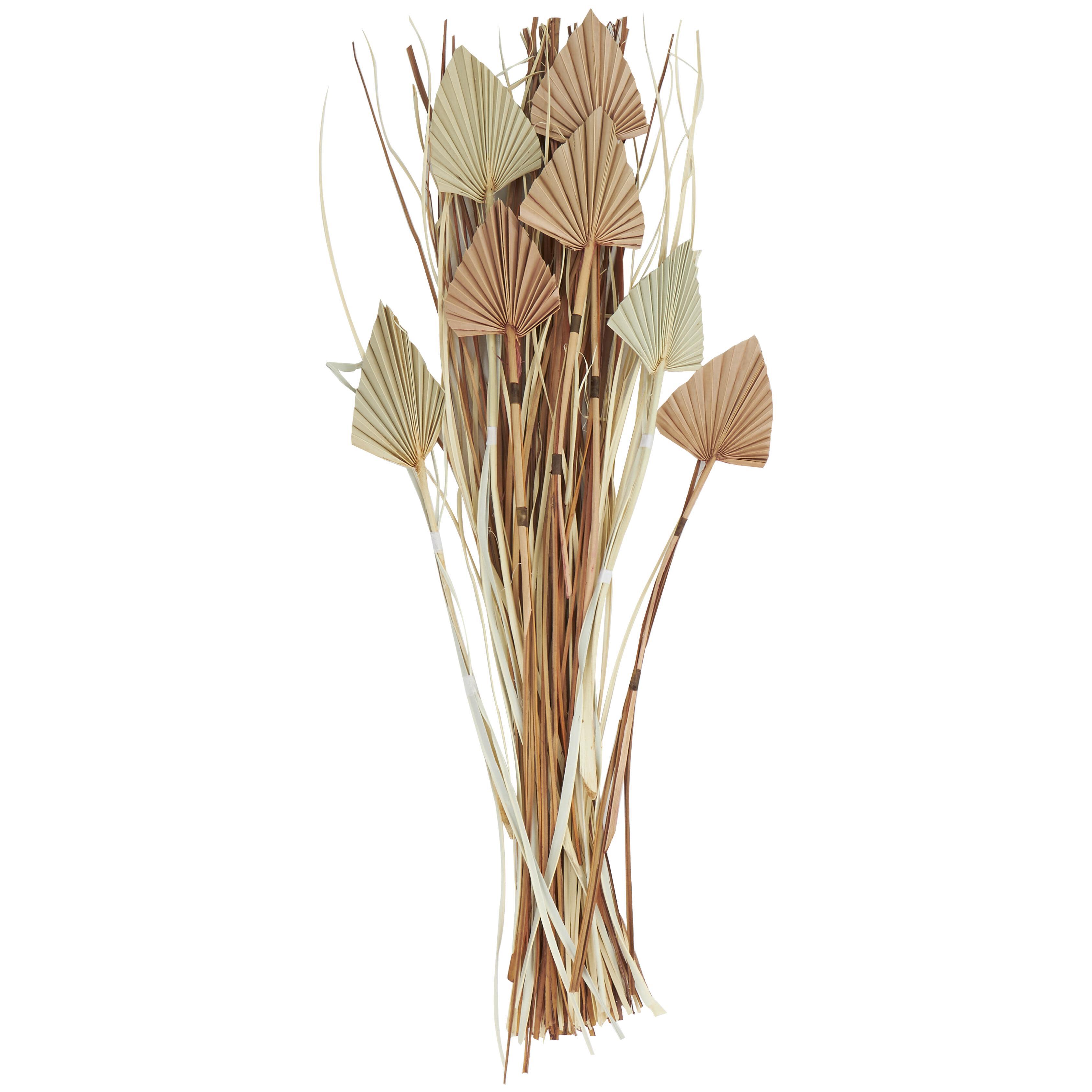 Bayberry Lane Dried Plant Palm Leaf Natural Foliage, , large