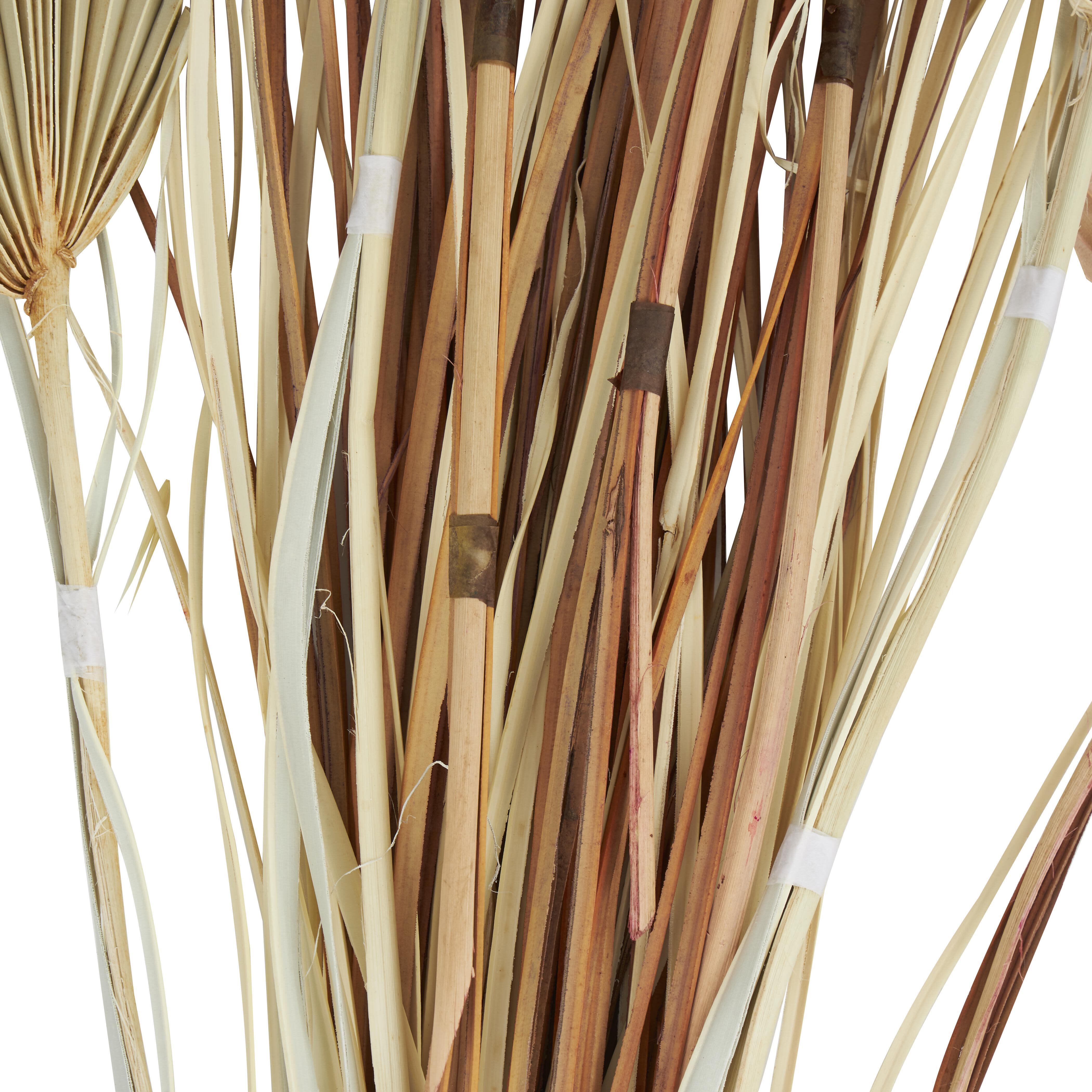 Bayberry Lane Dried Plant Palm Leaf Natural Foliage, , large