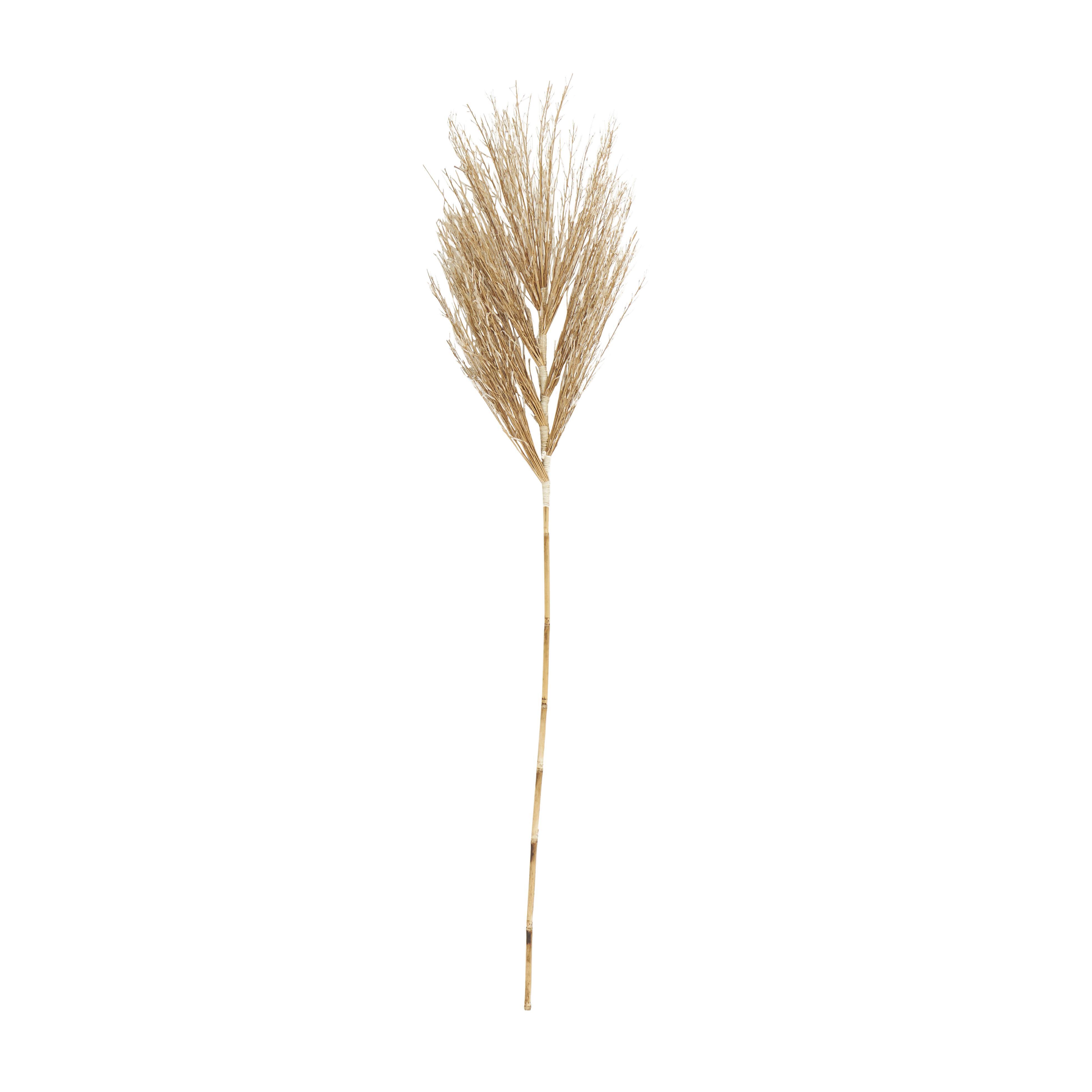 Bayberry Lane Dried Plant Palm Leaf Tall Natural Foliage, , large