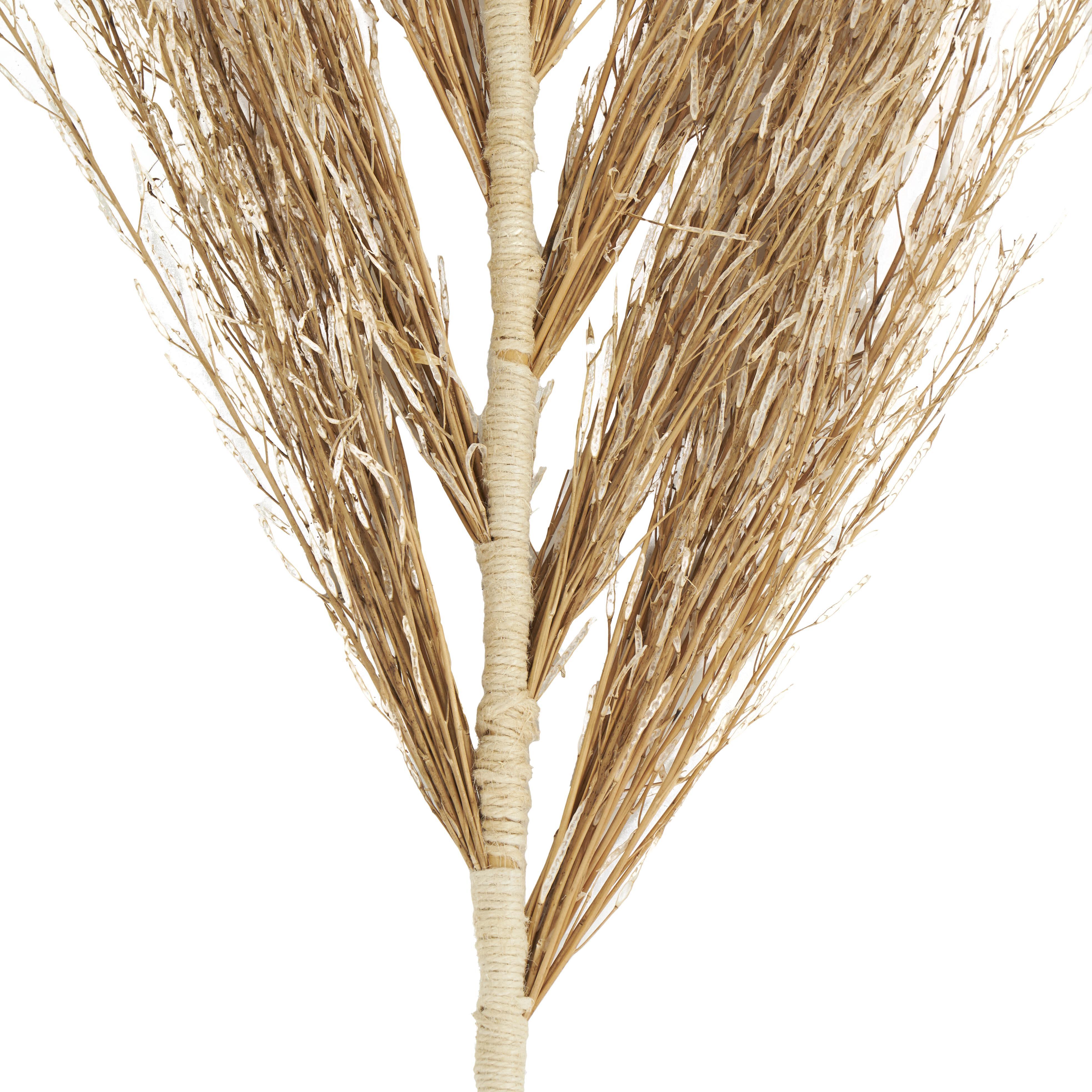 Bayberry Lane Dried Plant Palm Leaf Tall Natural Foliage, , large
