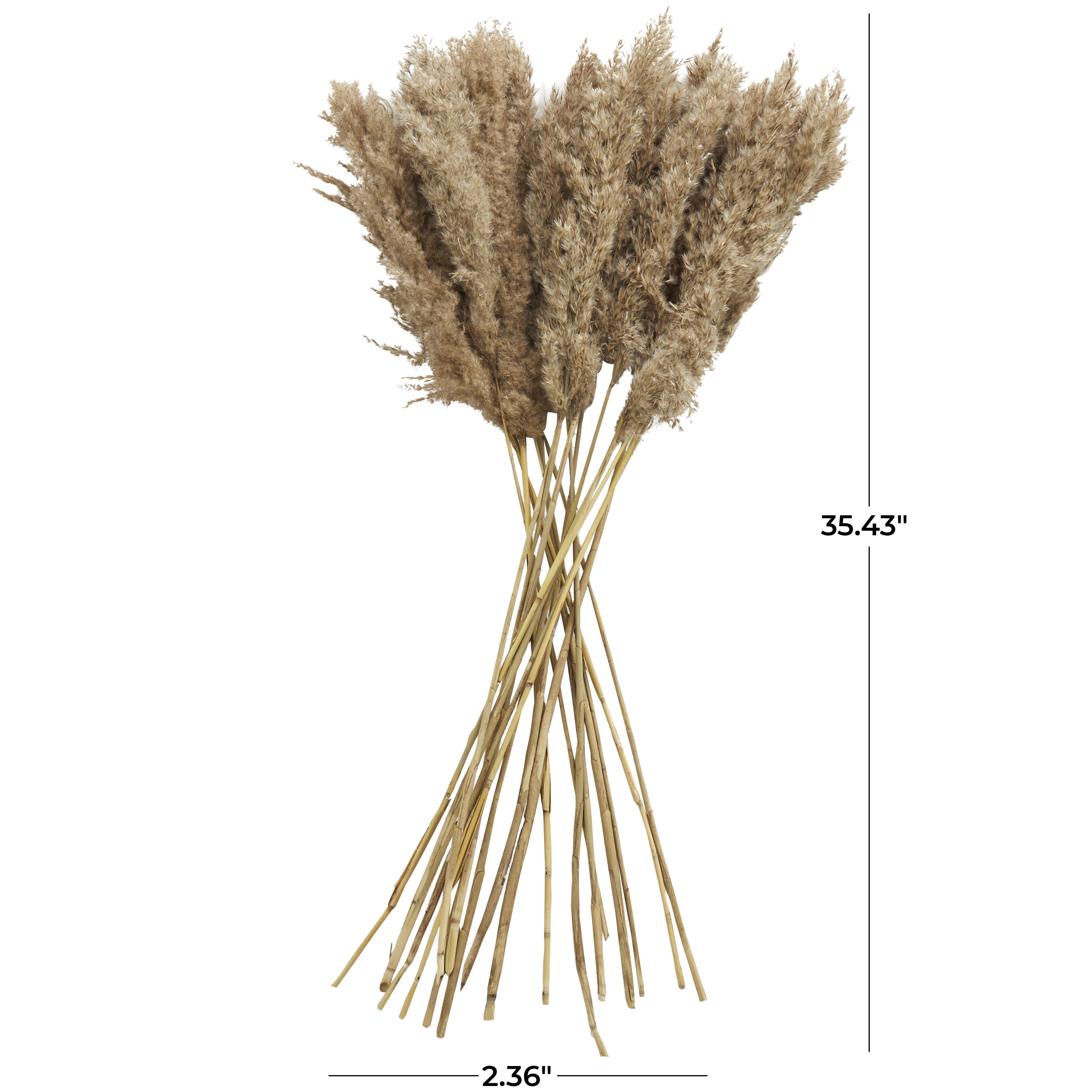 Bayberry Lane Dried Plant Pampas Natural Foliage with Long Stems, Brown, large