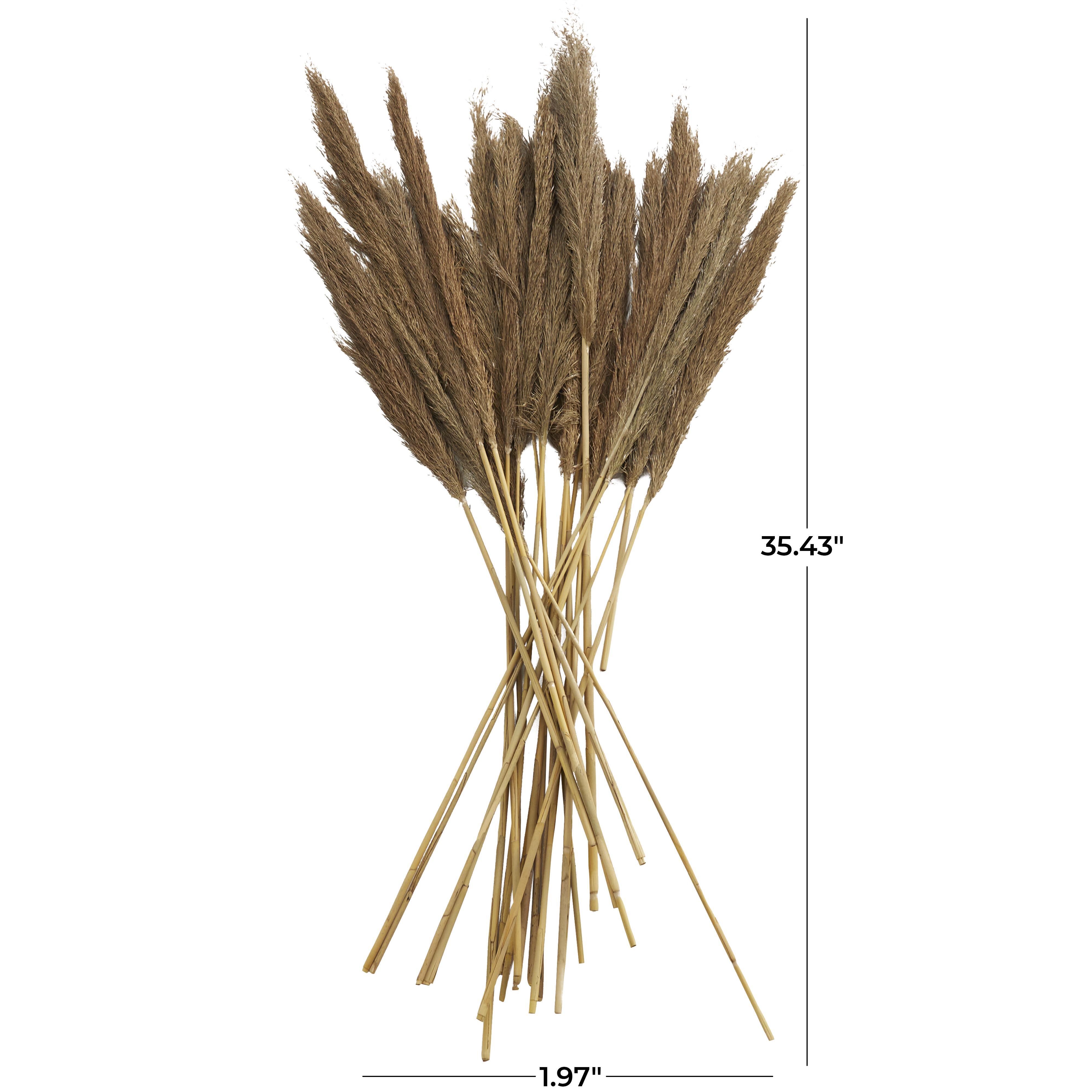 Bayberry Lane Dried Plant Pampas Natural Foliage with Long Stems, Brown, large