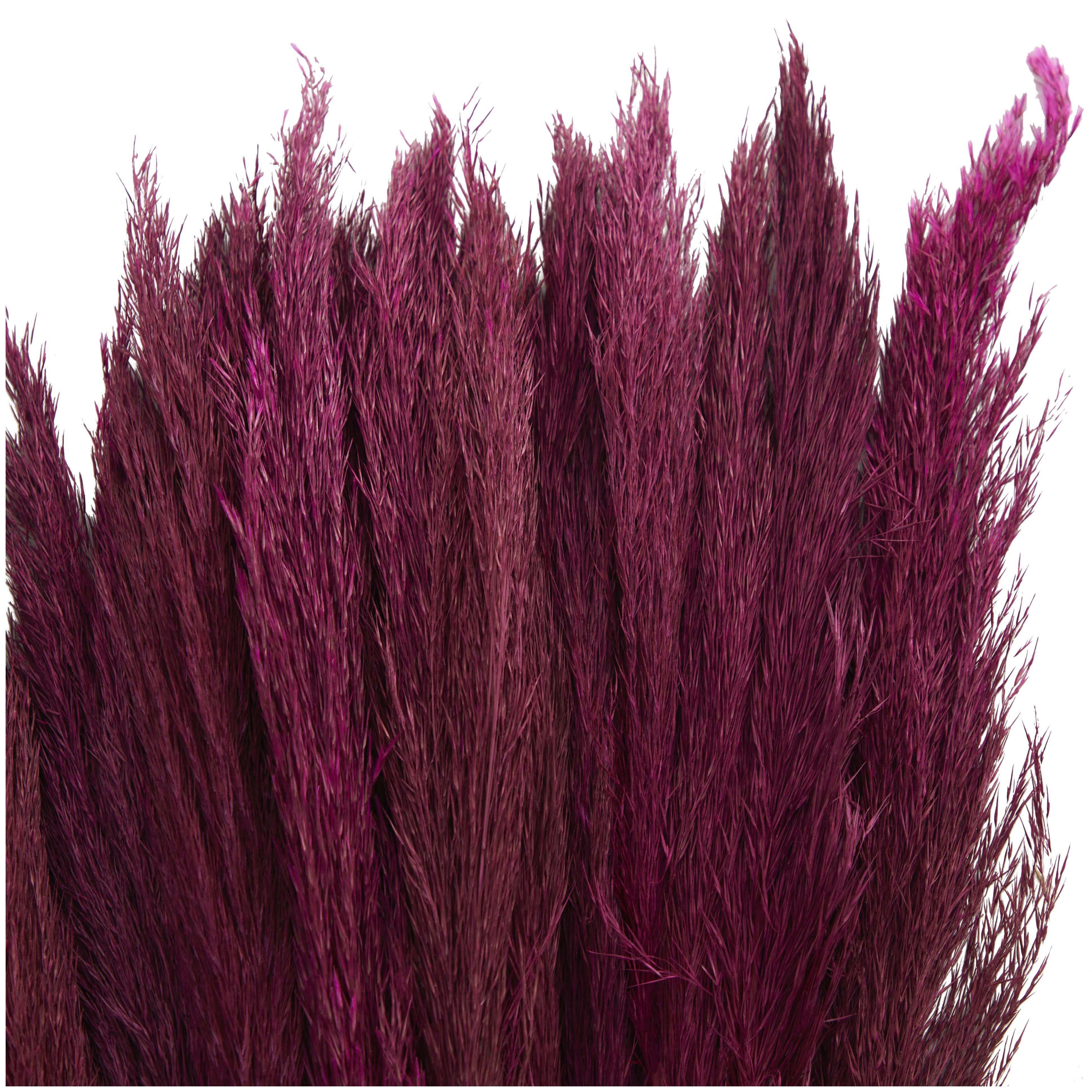 Bayberry Lane Dried Plant Pampas Natural Foliage with Long Stems, Pink, large