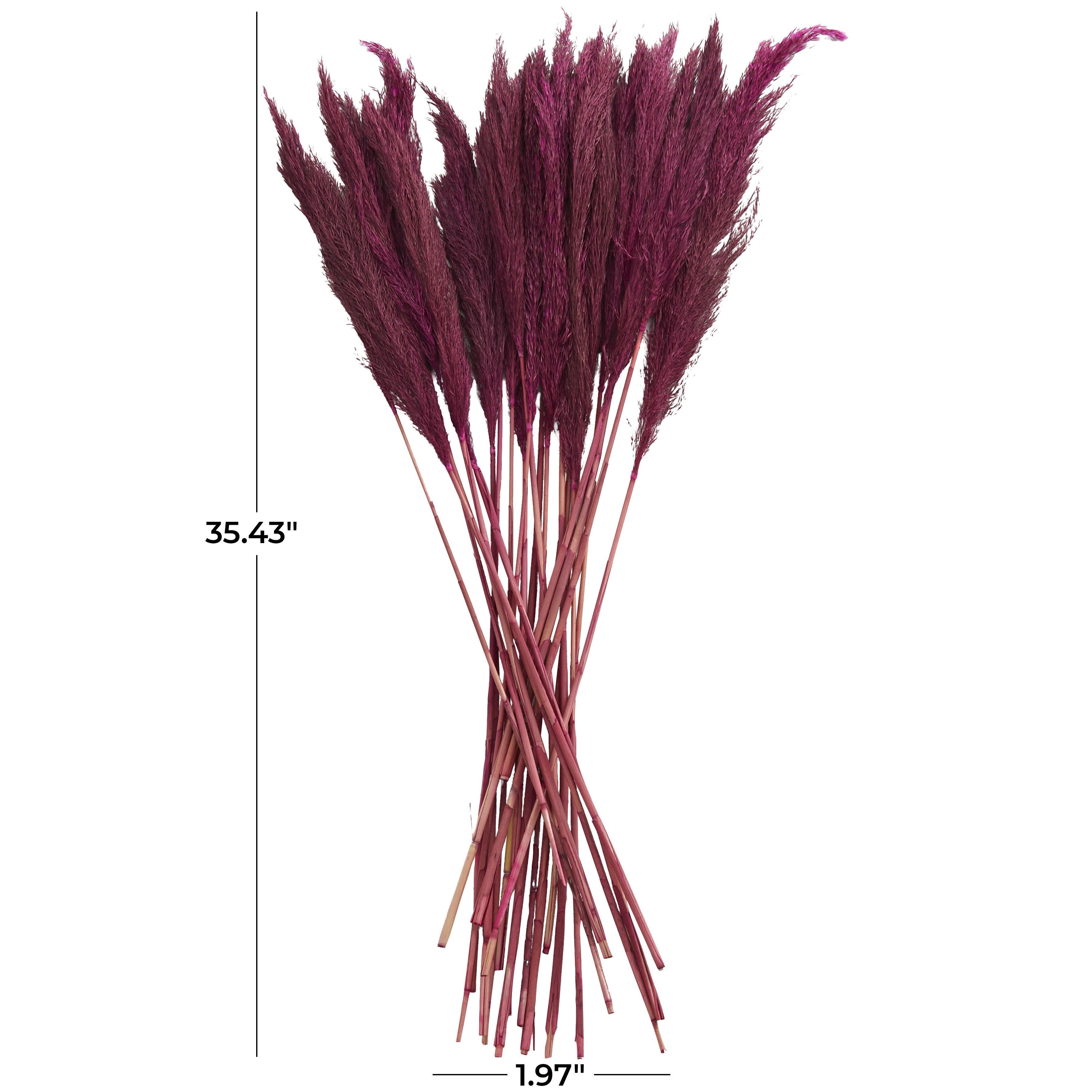 Bayberry Lane Dried Plant Pampas Natural Foliage with Long Stems, Pink, large