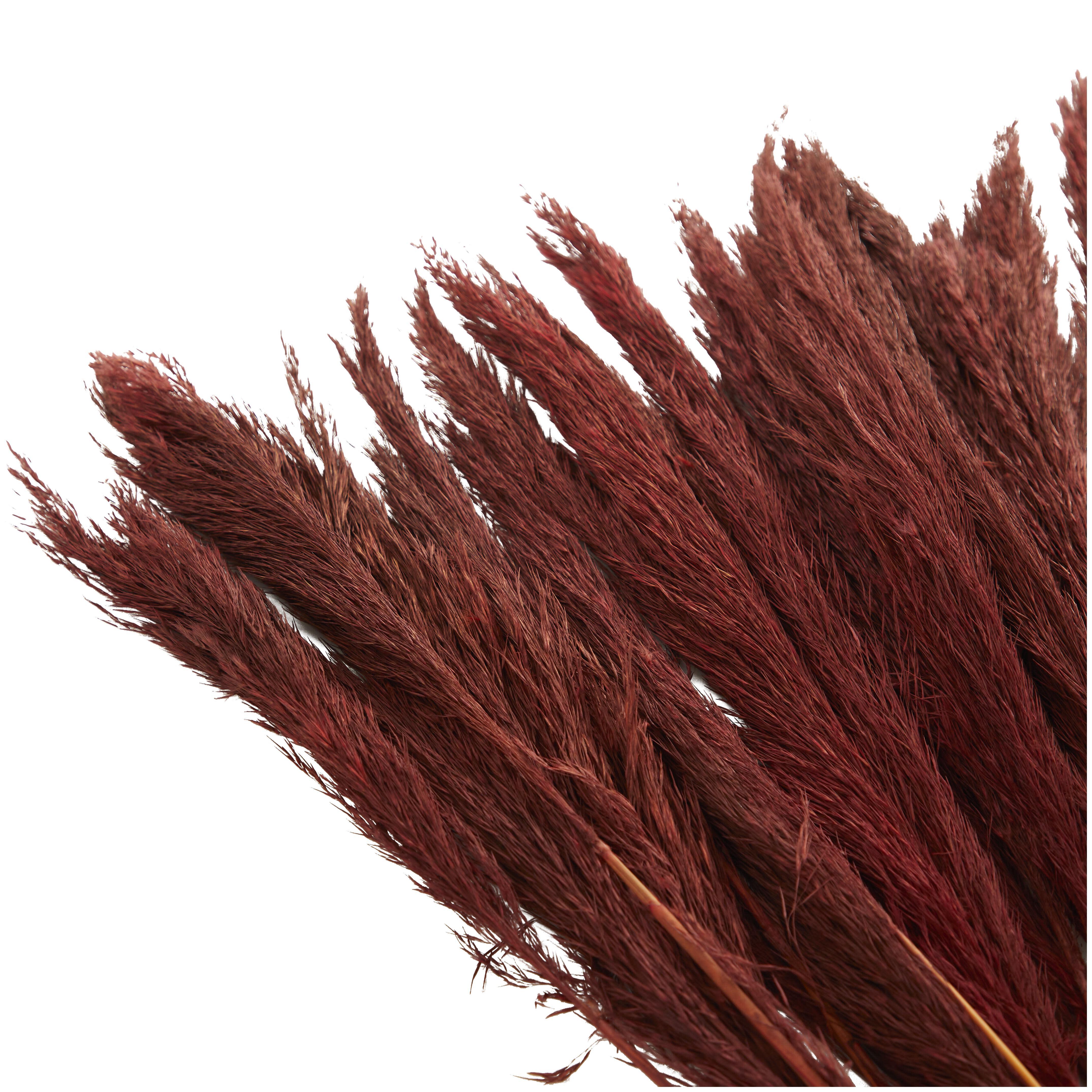 Bayberry Lane Dried Plant Pampas Natural Foliage with Long Stems, Red, large