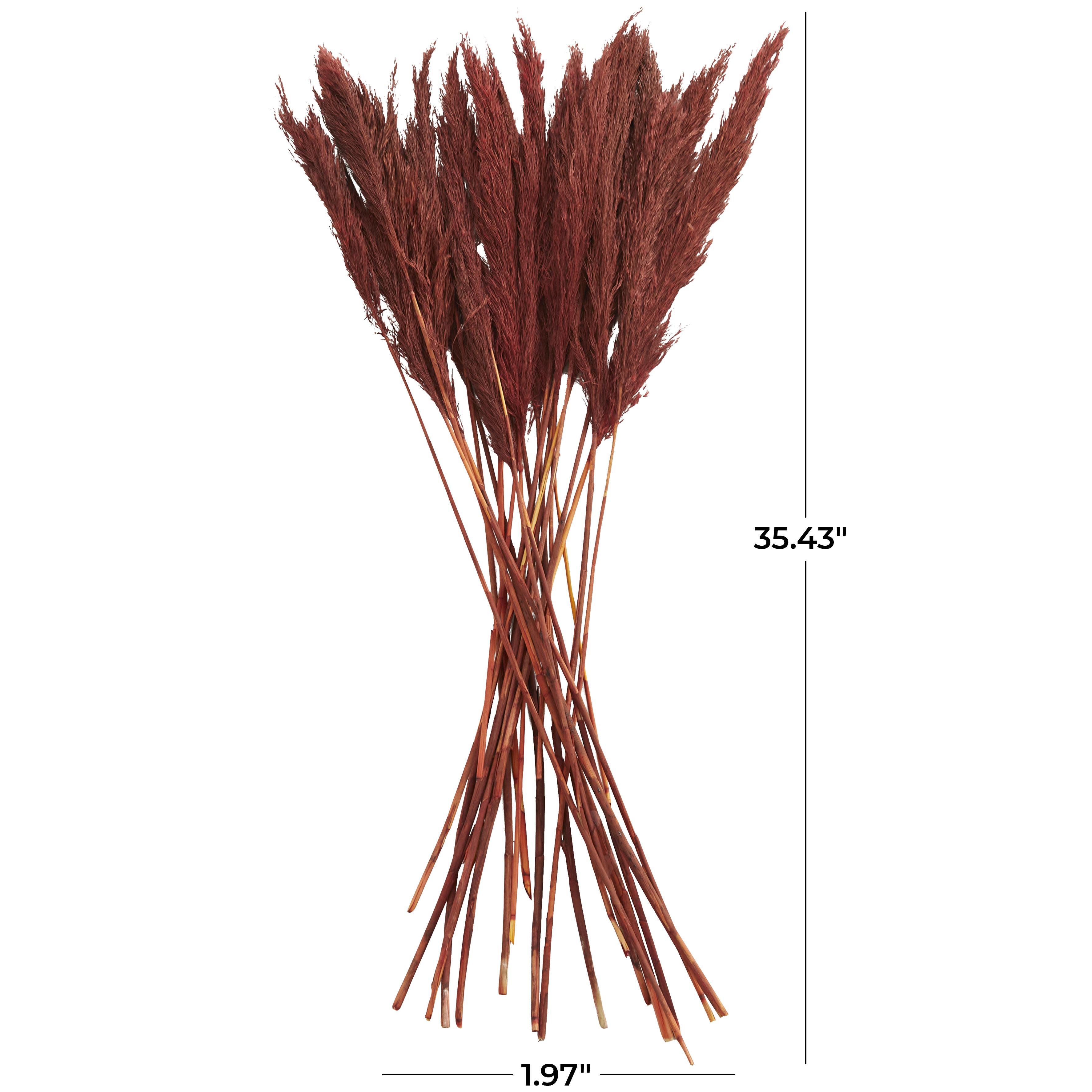 Bayberry Lane Dried Plant Pampas Natural Foliage with Long Stems, Red, large