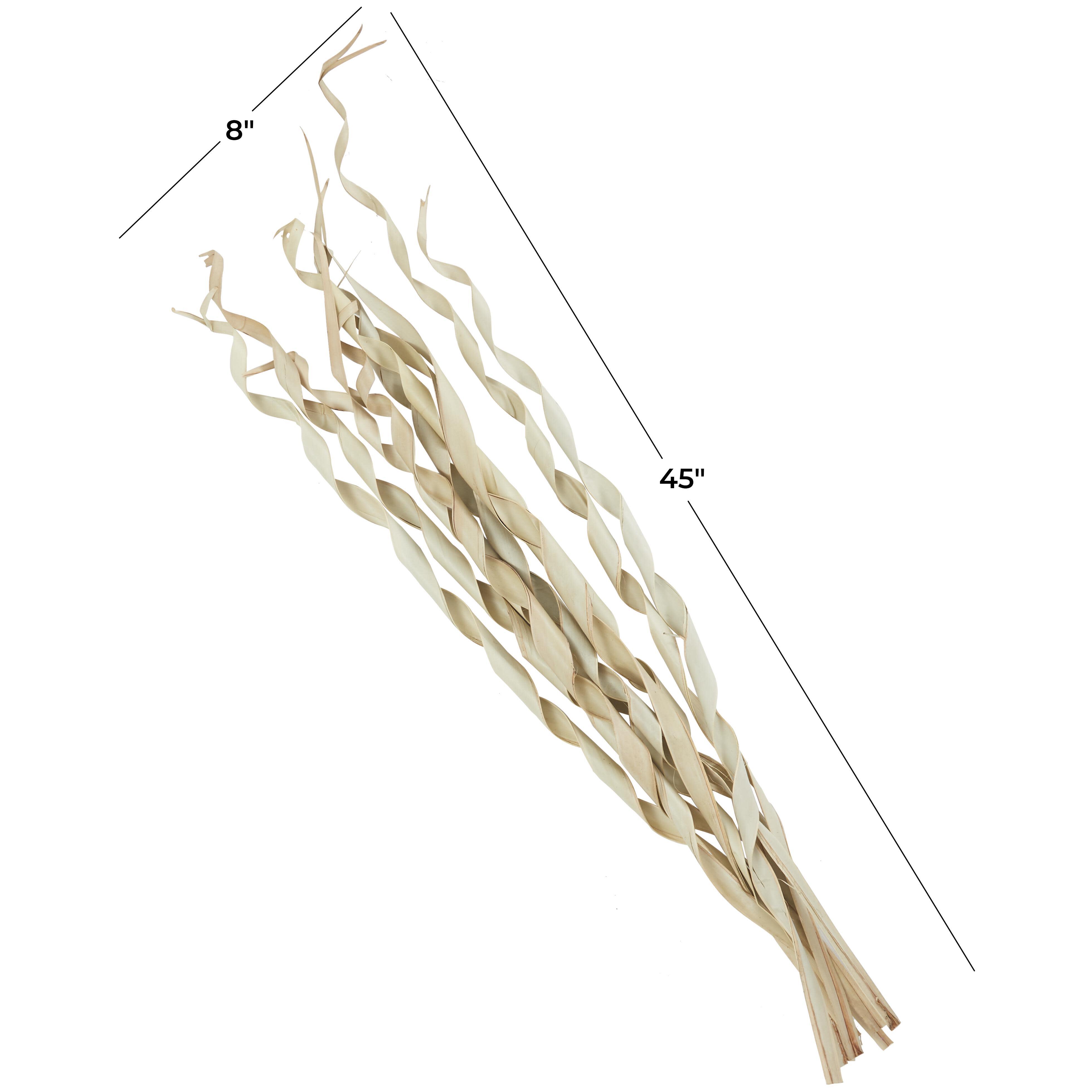 Bayberry Lane Palm Leaf Tall Natural Foliage, , large