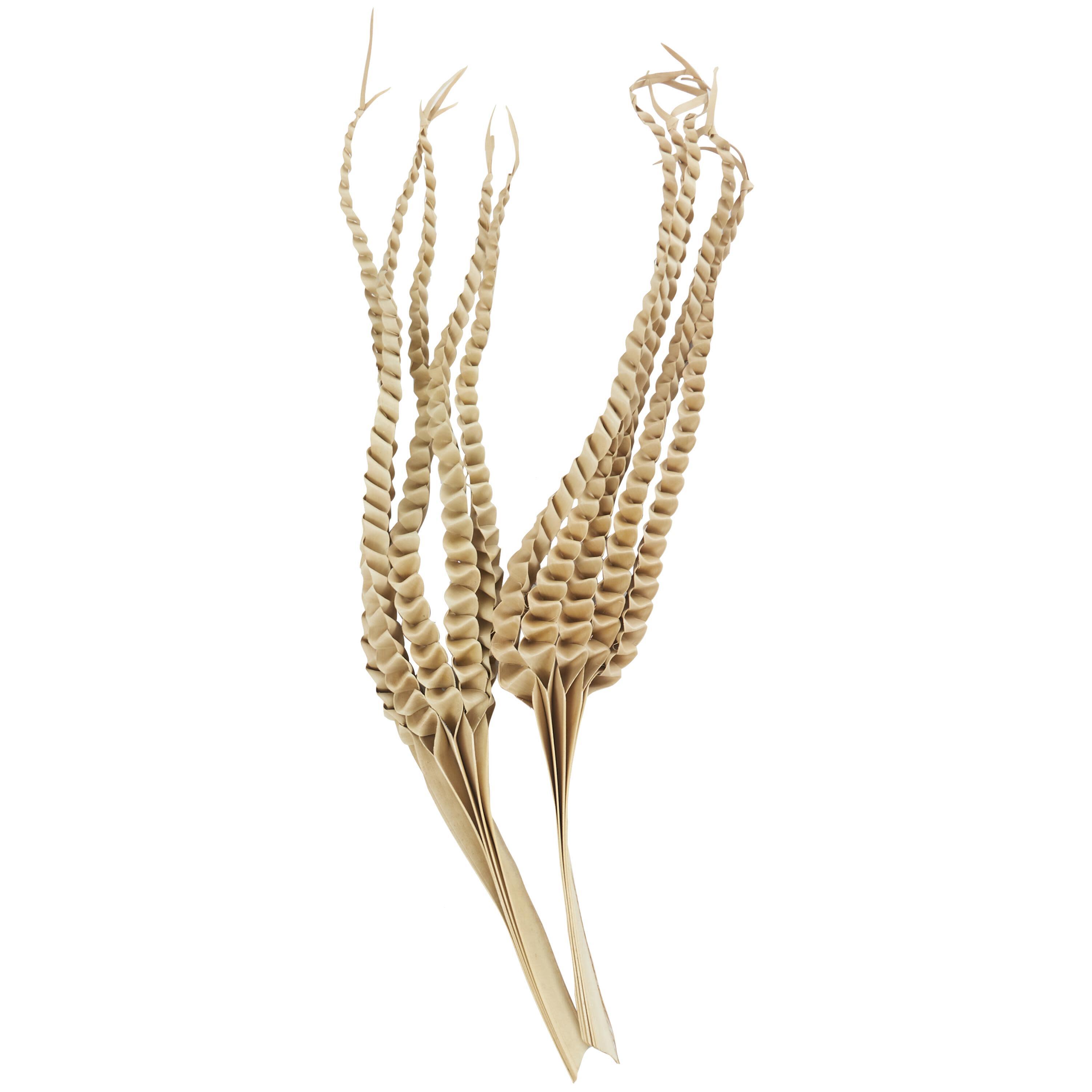 Bayberry Lane Tall Five Finger Natural Foliage, , large