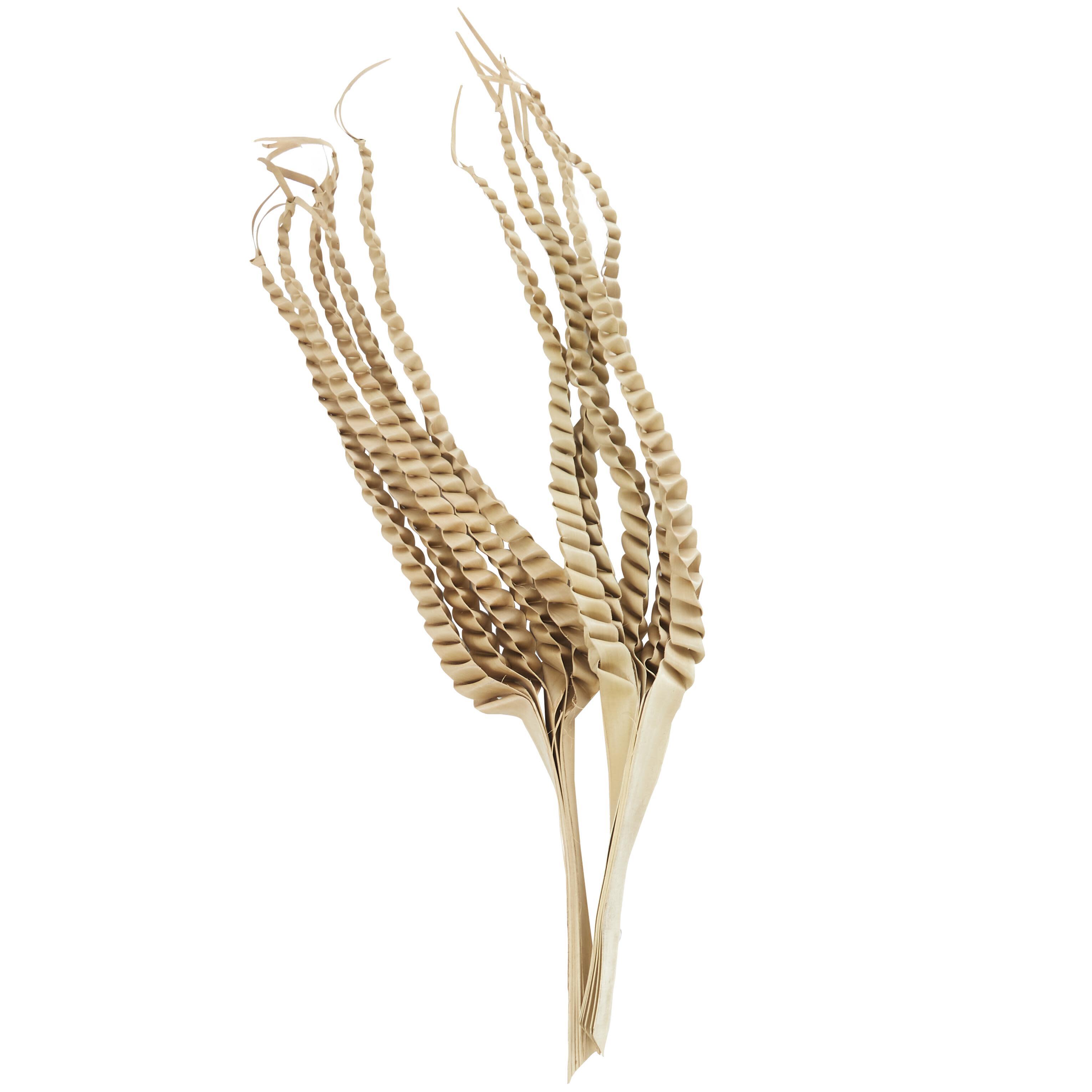 Bayberry Lane Tall Five Finger Natural Foliage, , large