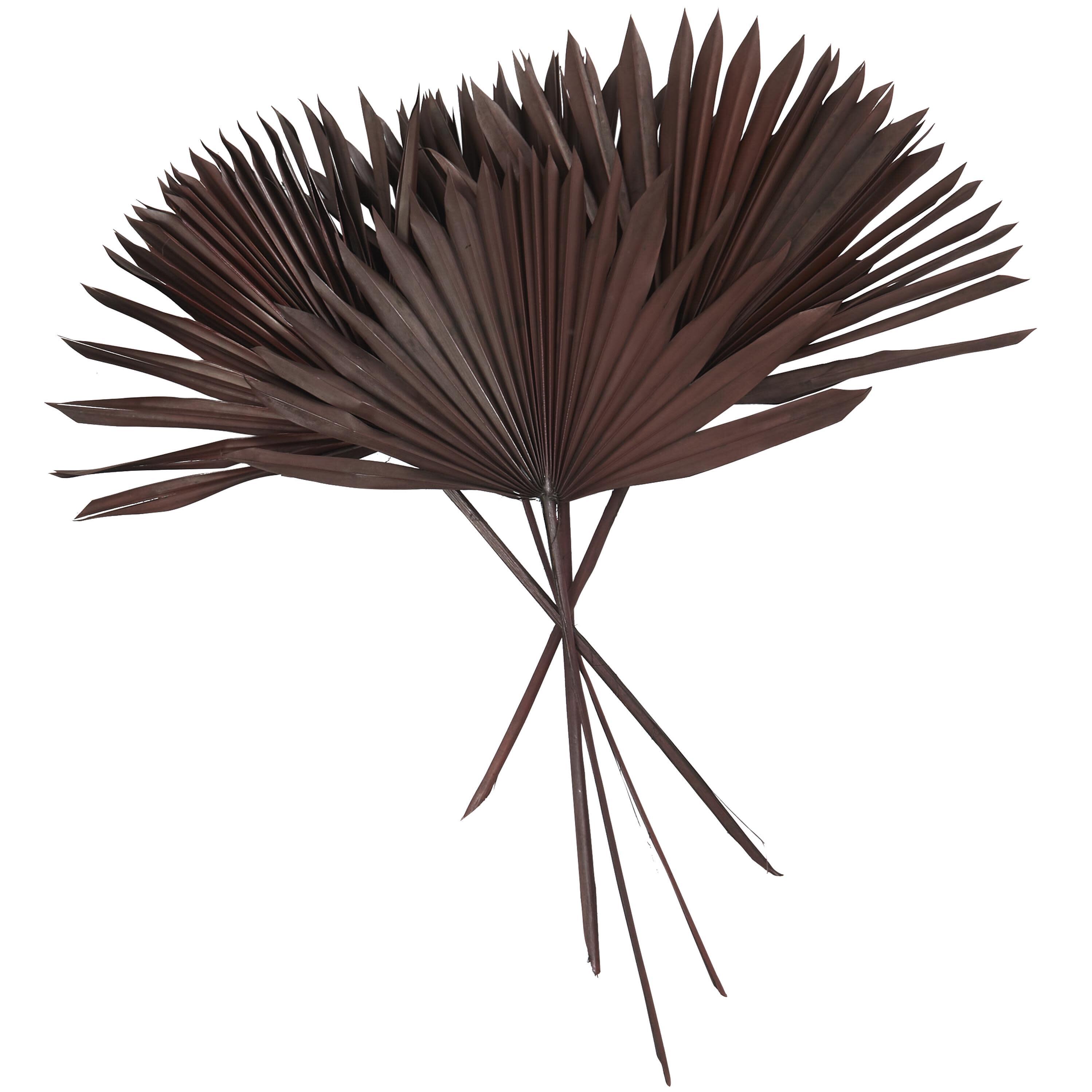 The Novogratz Dried Plant Handmade Large Sun Palm Spear, Dark Brown, large