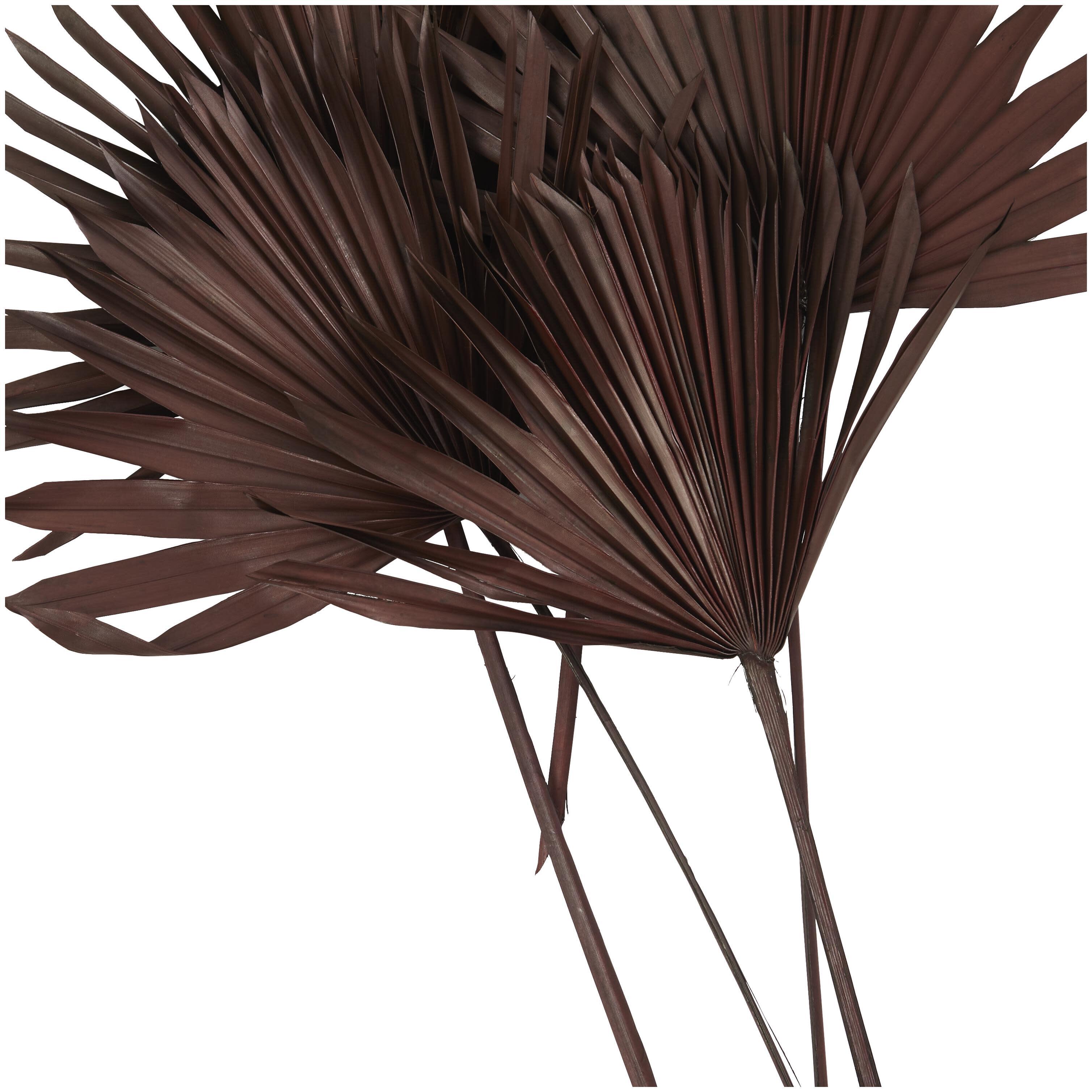 The Novogratz Dried Plant Handmade Large Sun Palm Spear, Dark Brown, large