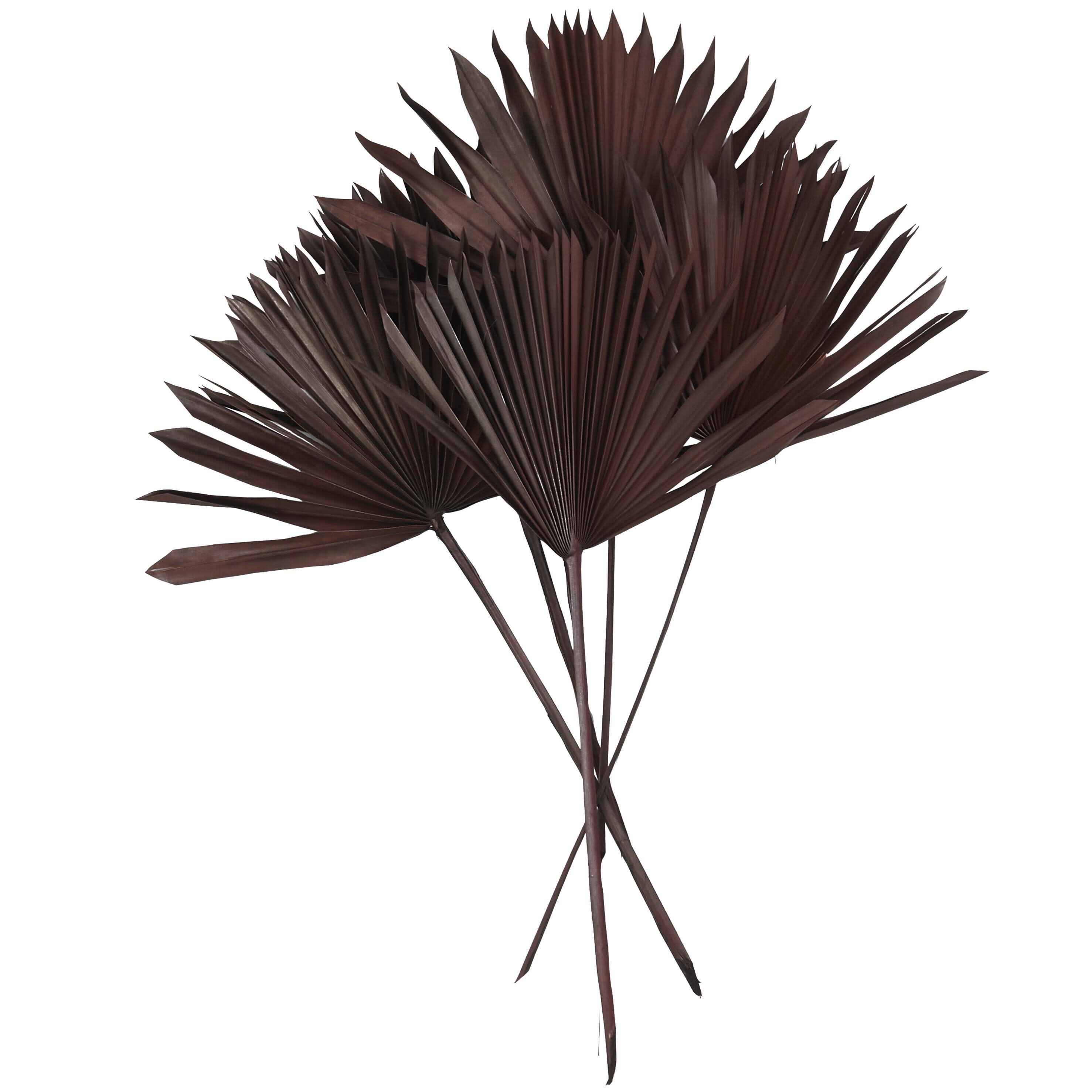 The Novogratz Dried Plant Handmade Large Sun Palm Spear, Dark Brown, large
