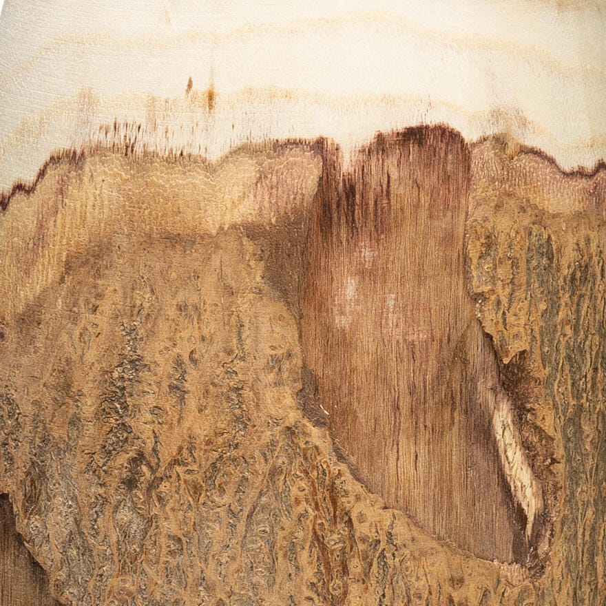 Storied Home Paulownia Vase with Live Edge, , large