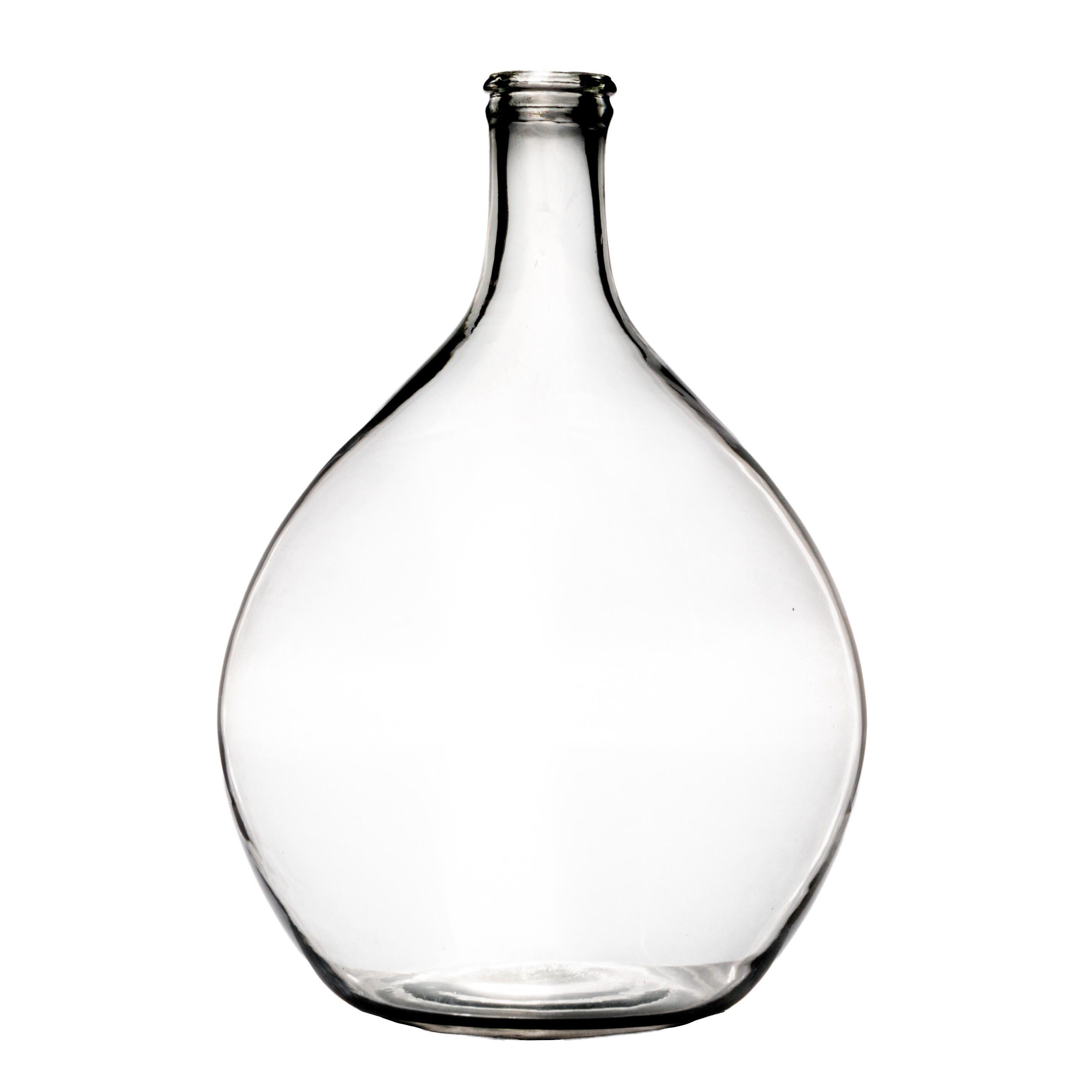 Storied Home Decorative Large Glass Bottle, , large