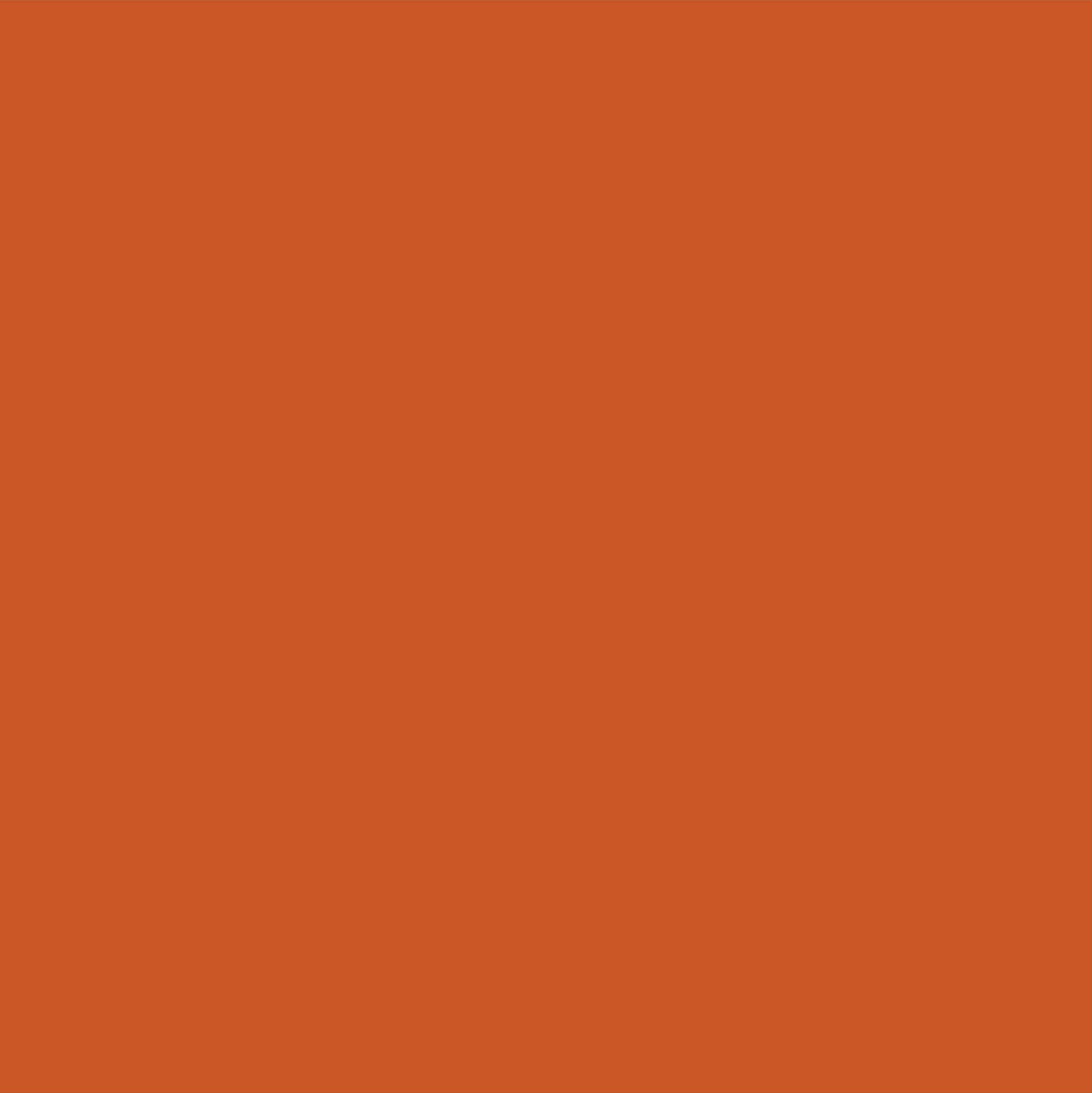 Swatch color Terracotta , product with this swatch is currently selected