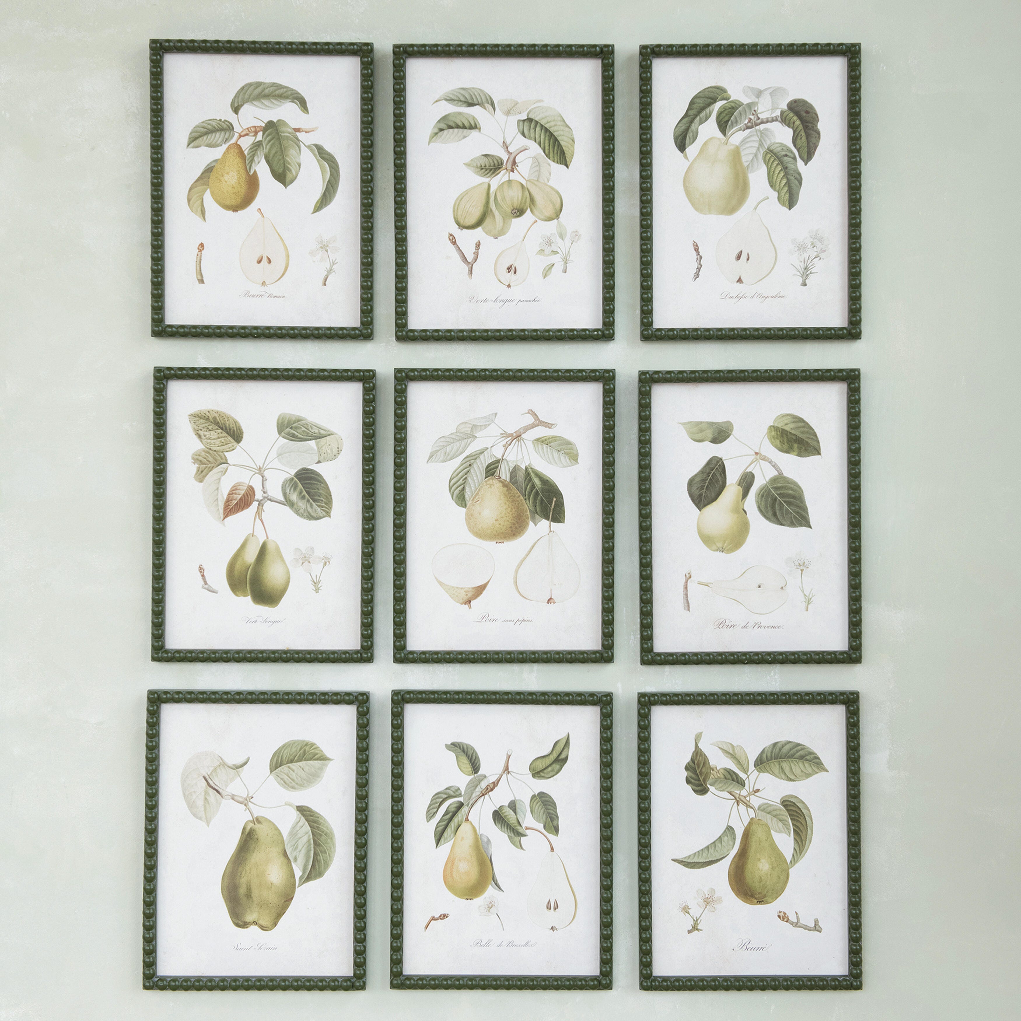 Storied Home Orchard Pear Print Collection Wall Decor (Set of 9), , rollover