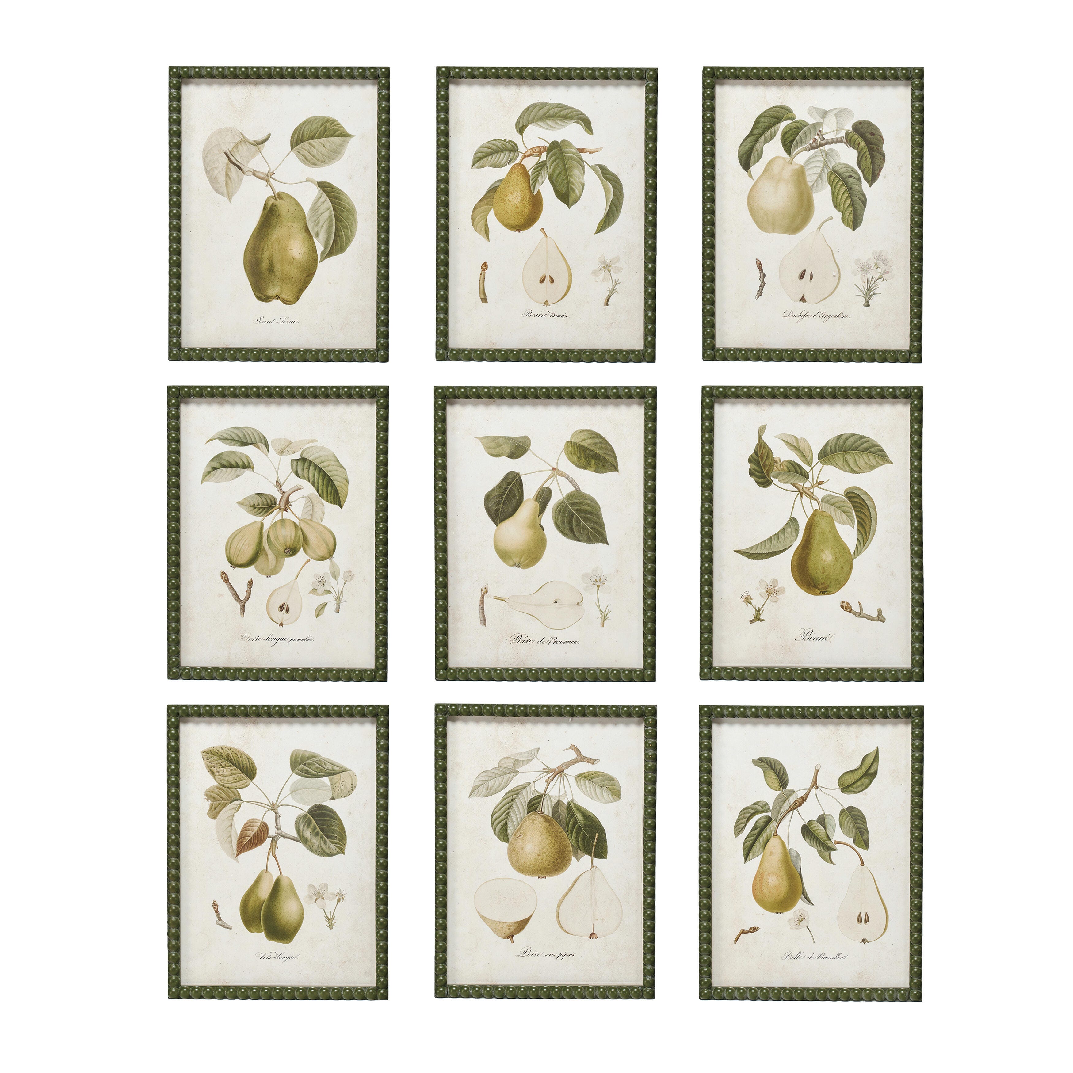 Storied Home Orchard Pear Print Collection Wall Decor (Set of 9), , large