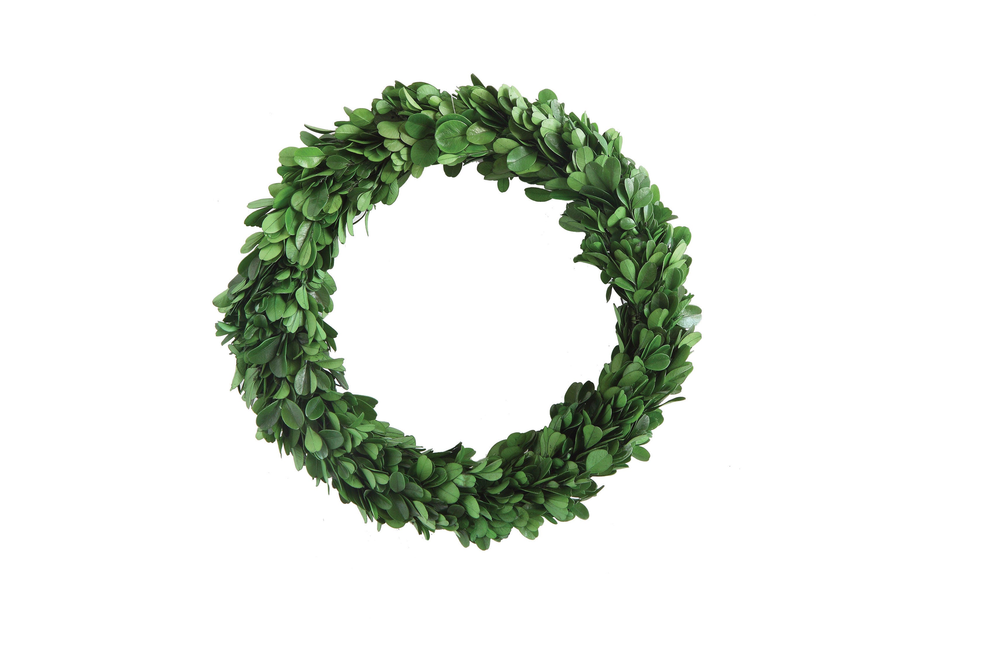 Storied Home Preserved Boxwood Wreath Wall Decor, , large