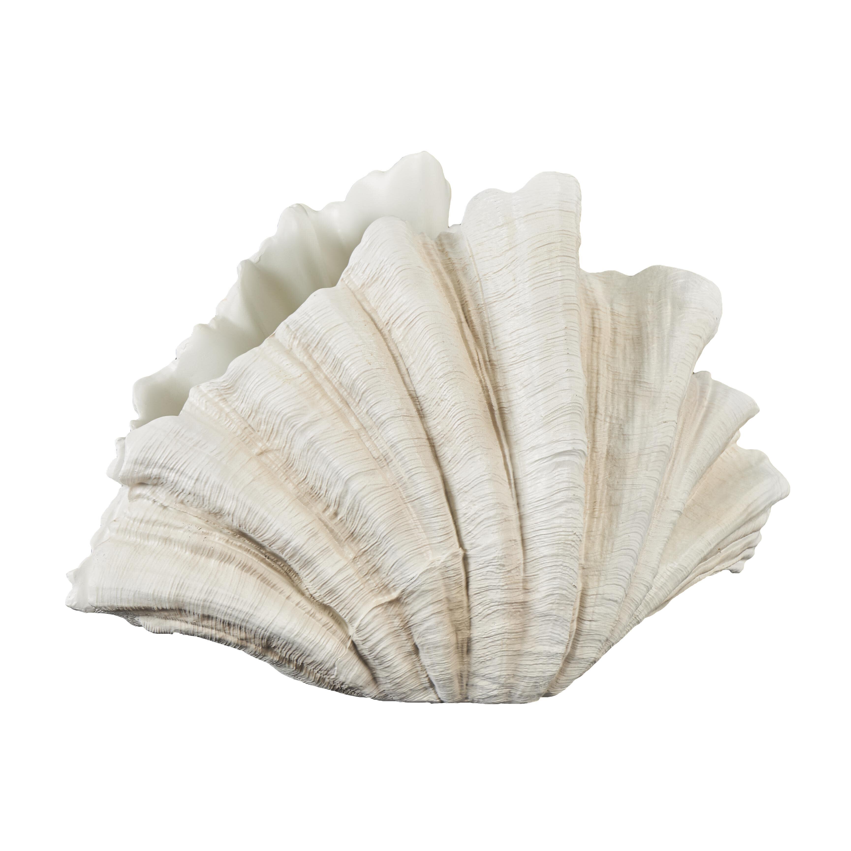 Bayberry Lane 23" Shell Textured Sculpture, , large