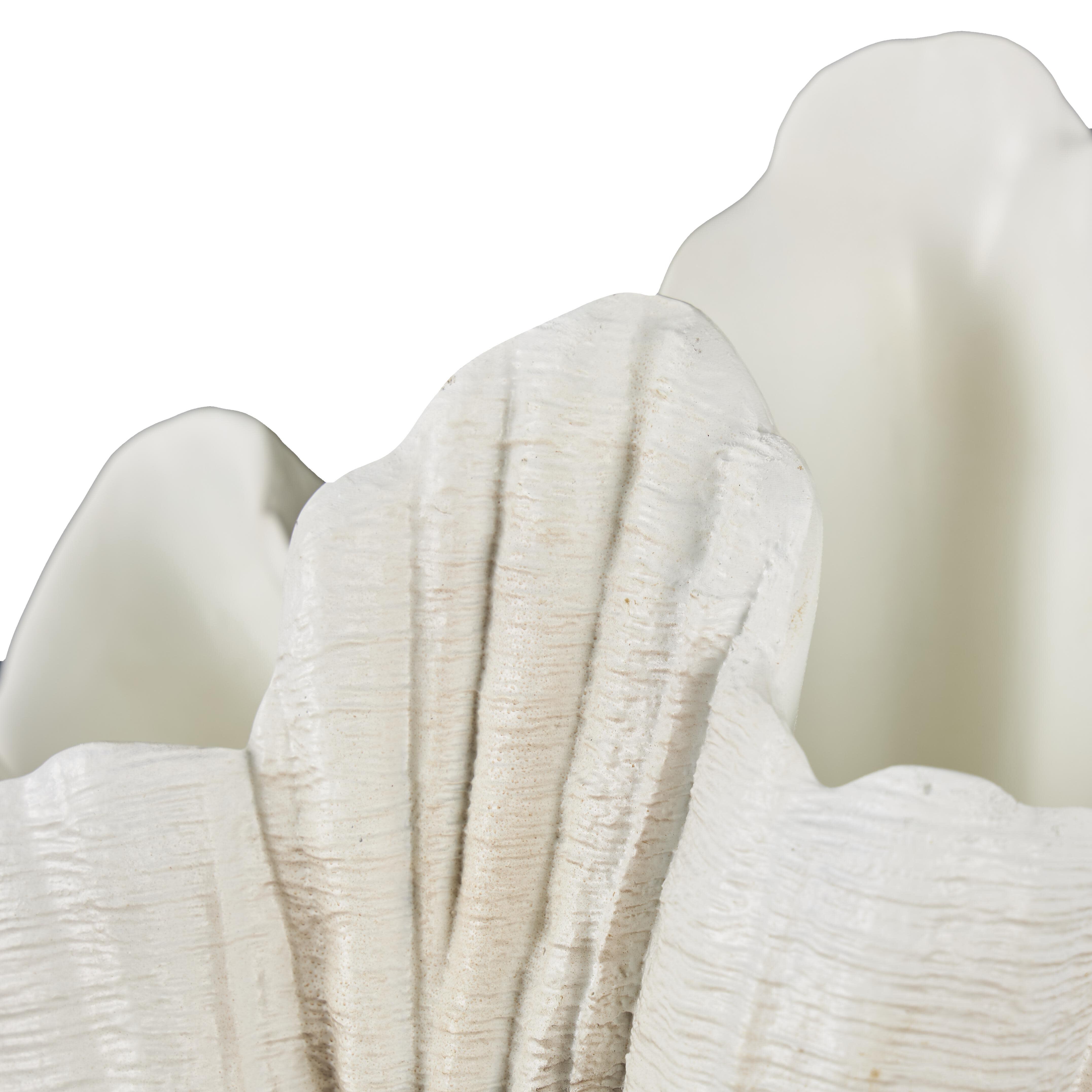 Bayberry Lane 23" Shell Textured Sculpture, , large