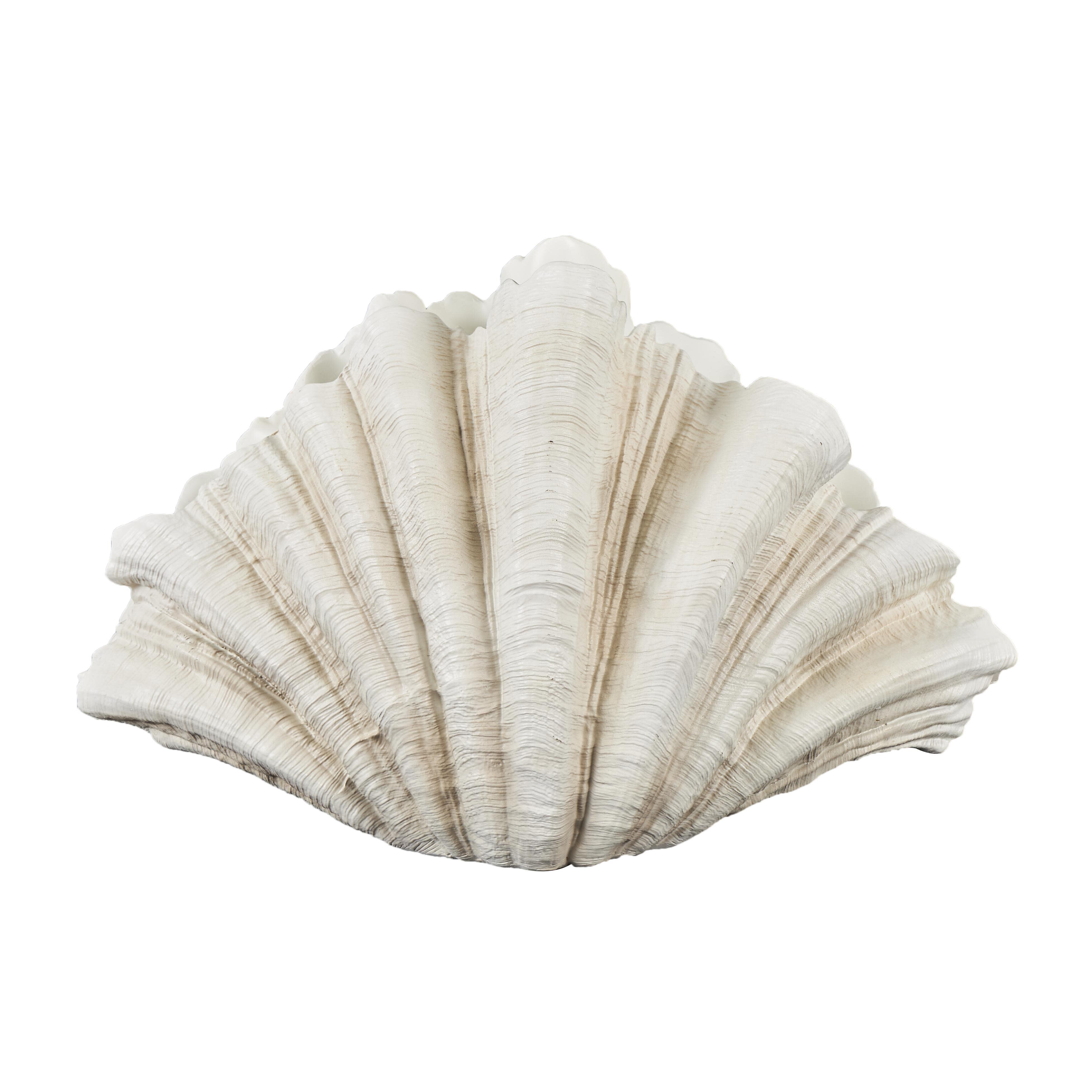 Bayberry Lane 23" Shell Textured Sculpture, , large
