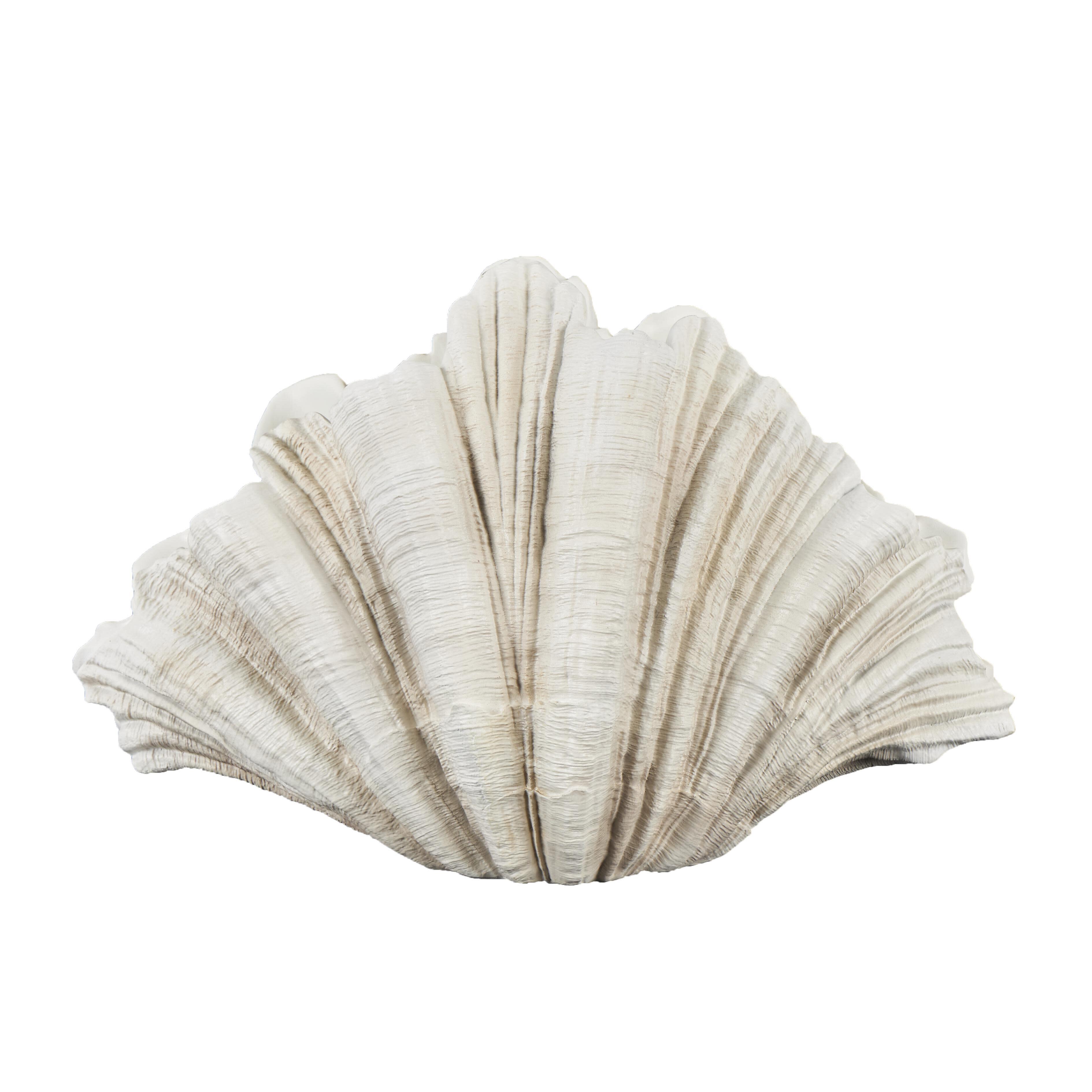 Bayberry Lane 23" Shell Textured Sculpture, , large