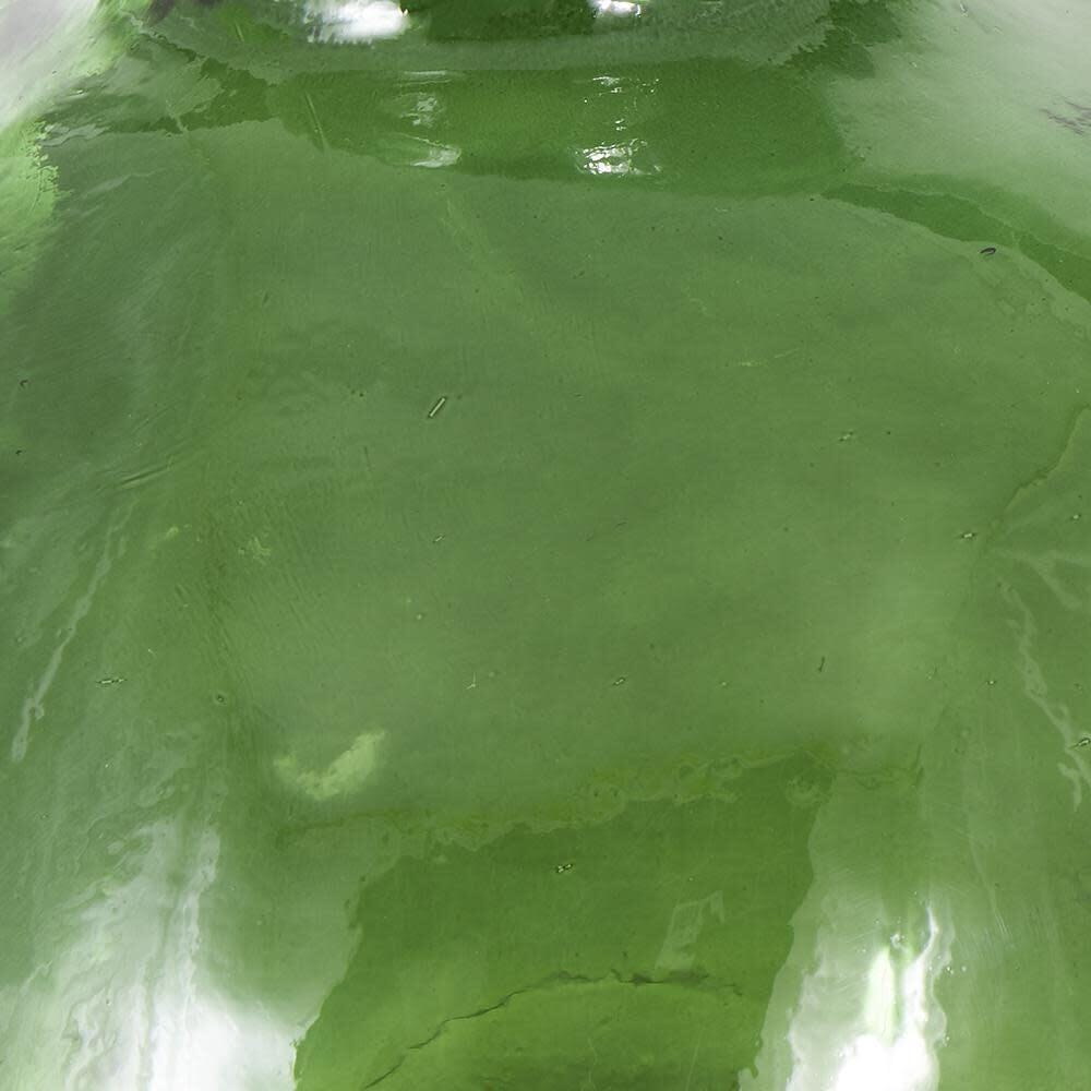 Swatch color Green , product with this swatch is currently selected