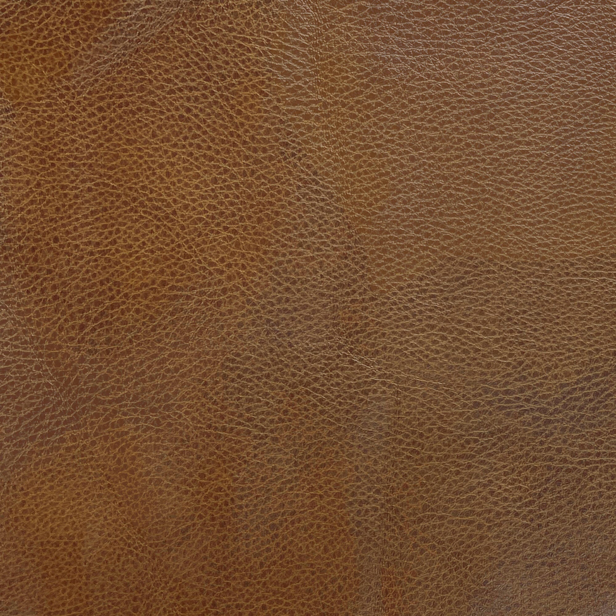 Swatch color Brown 
